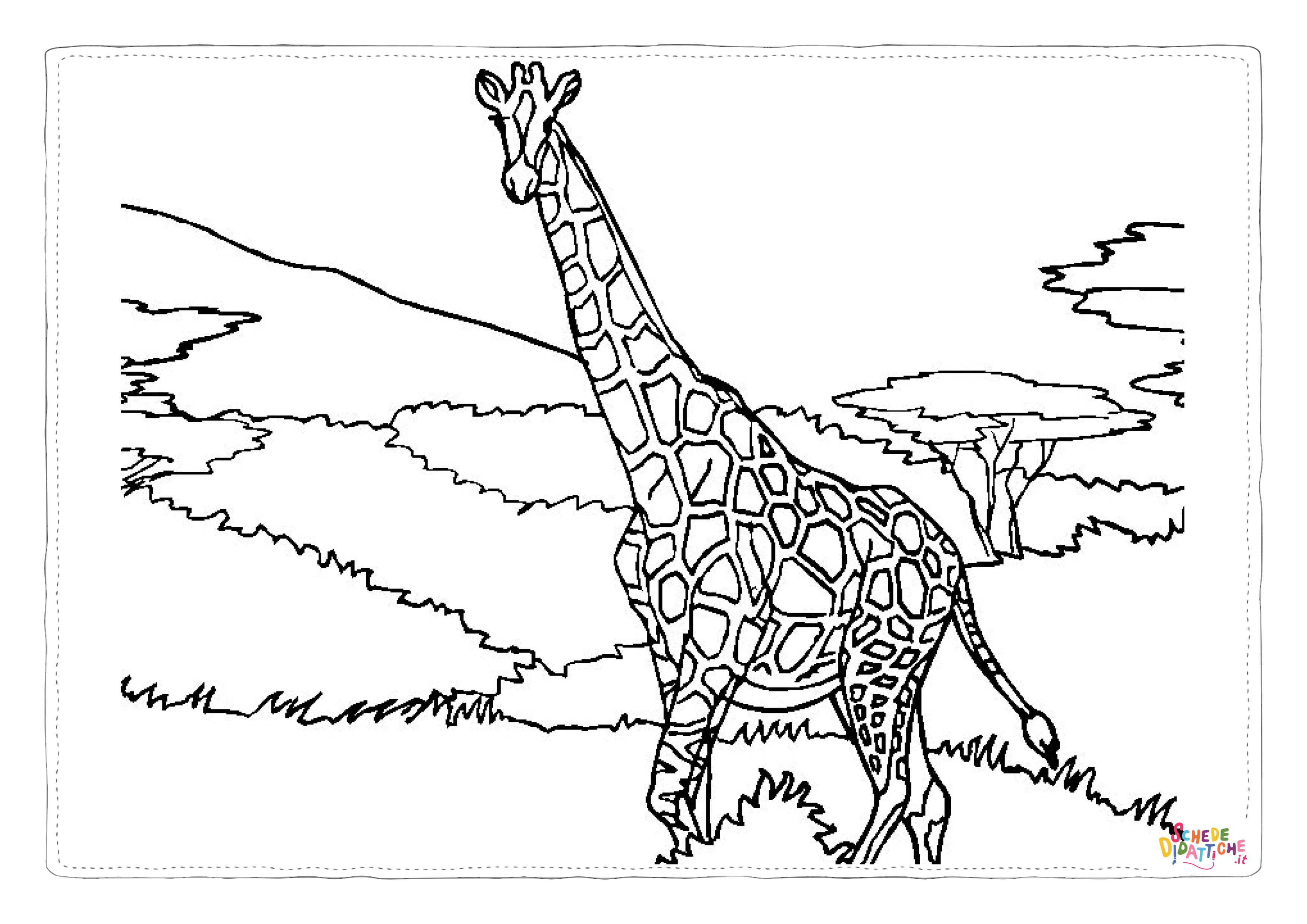 Disegno di giraffa da stampare e colorare 101