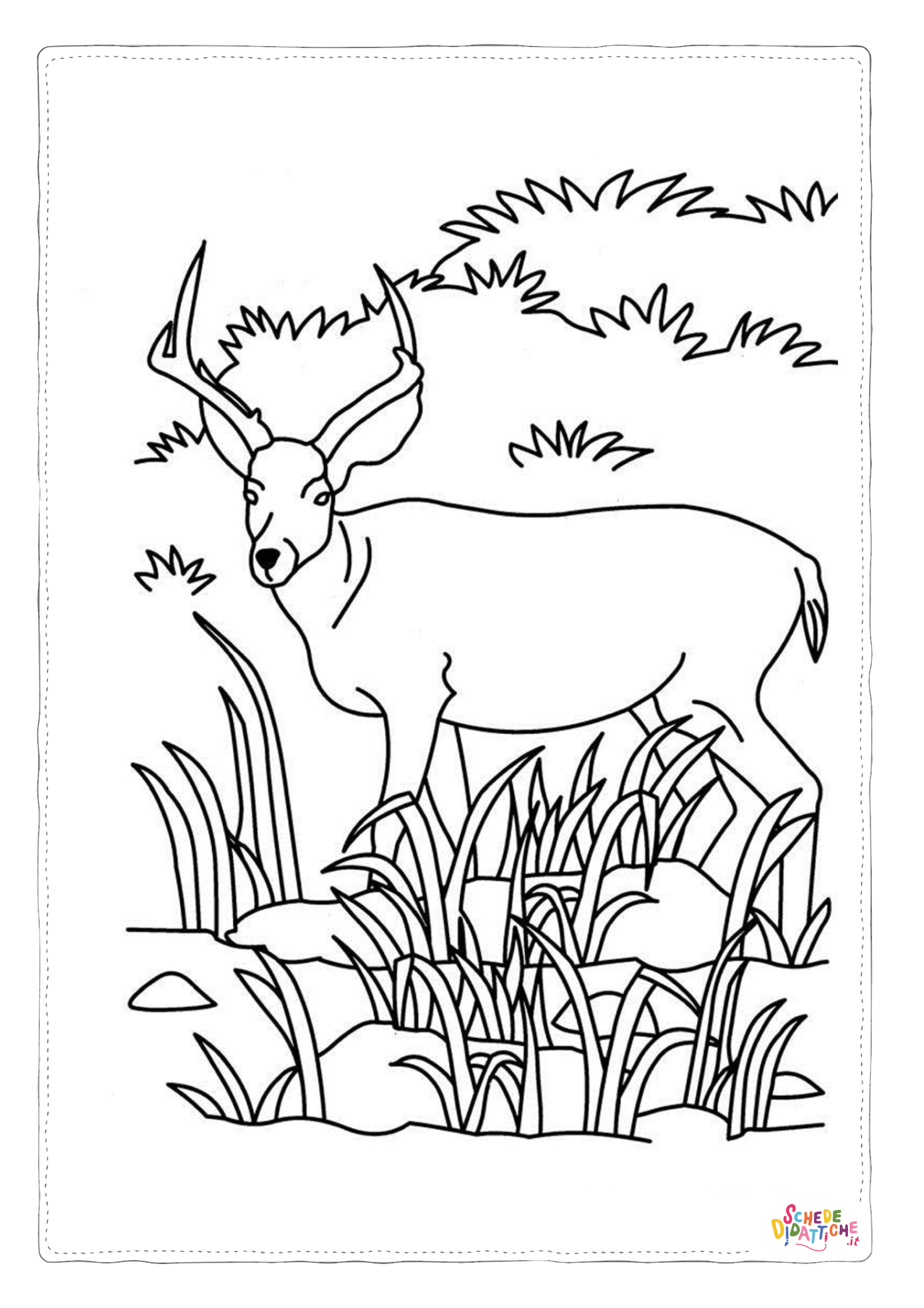 Disegno "Disegno di cervo da stampare e colorare 18" Disegno di cervo da stampare e colorare 18