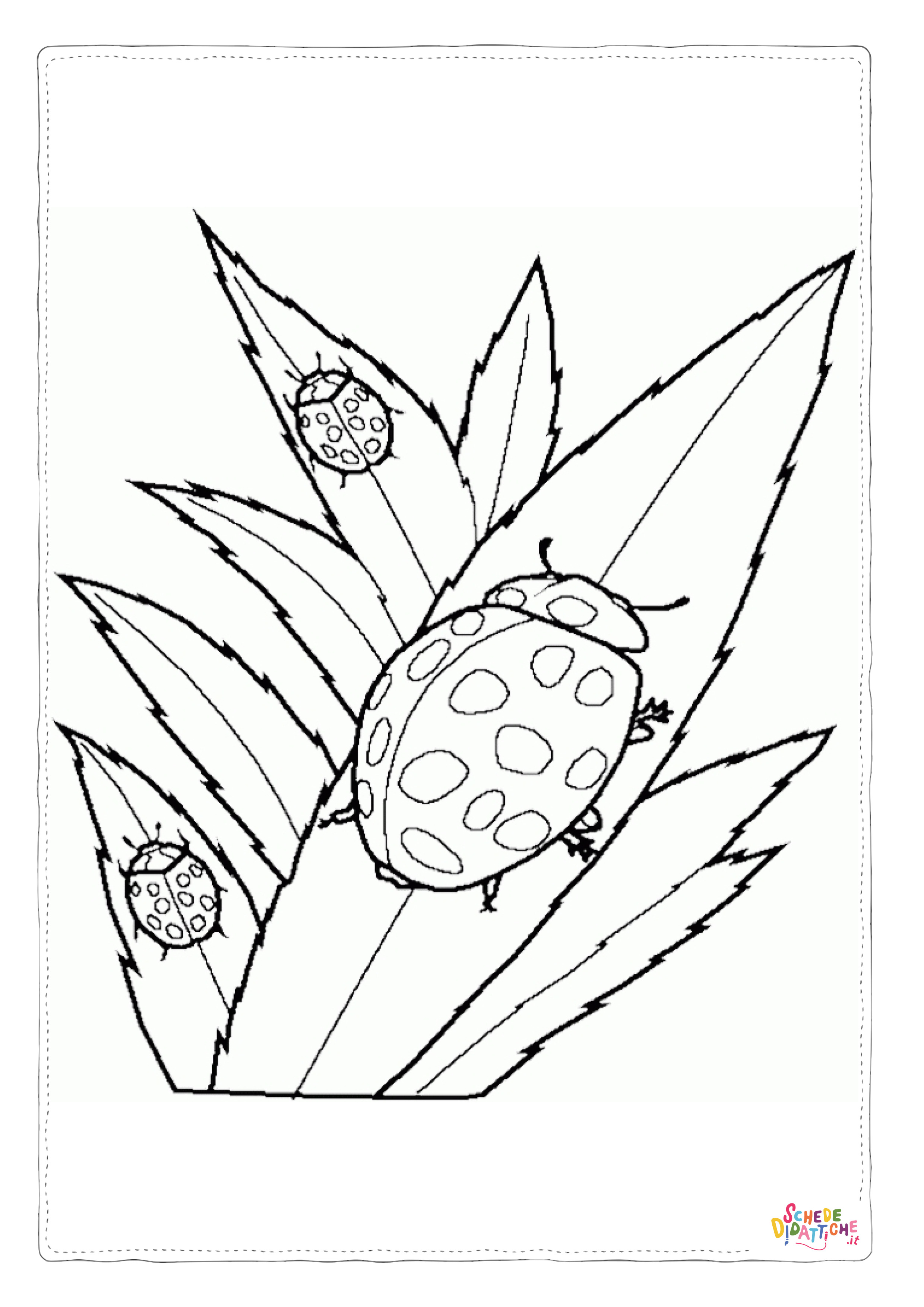 Disegno di coccinella da stampare e colorare 3