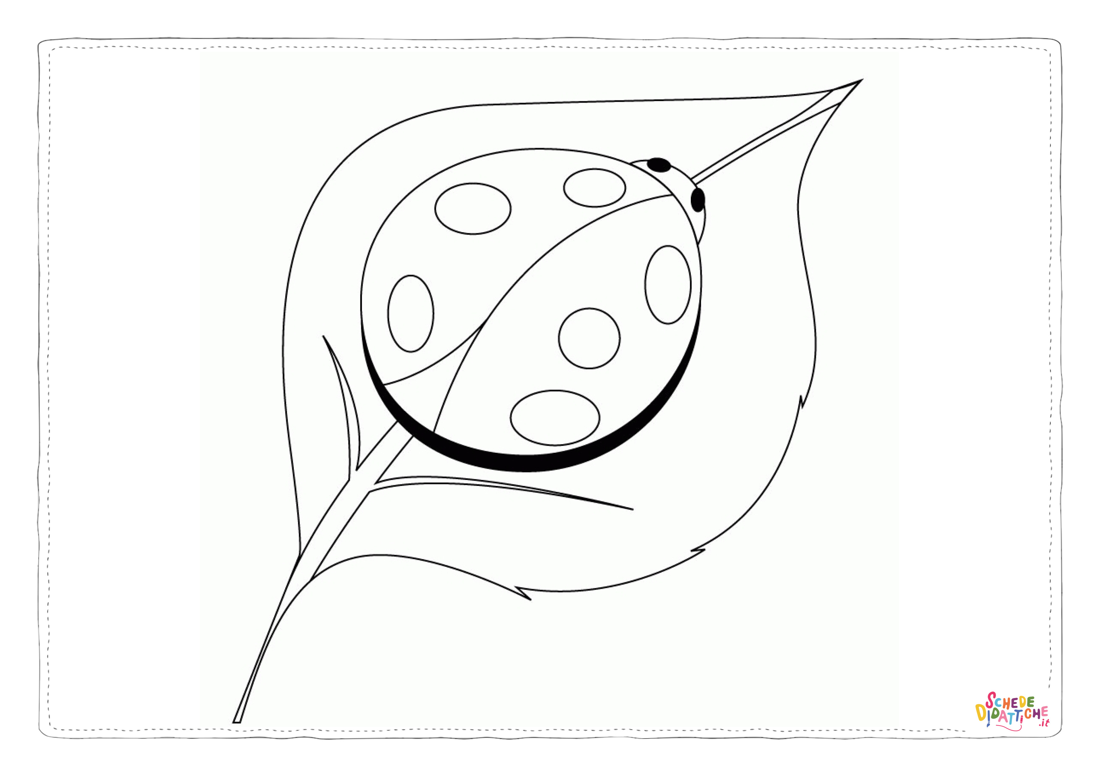Disegno "Disegno di coccinella da stampare e colorare 21" Disegno di coccinella da stampare e colorare 21
