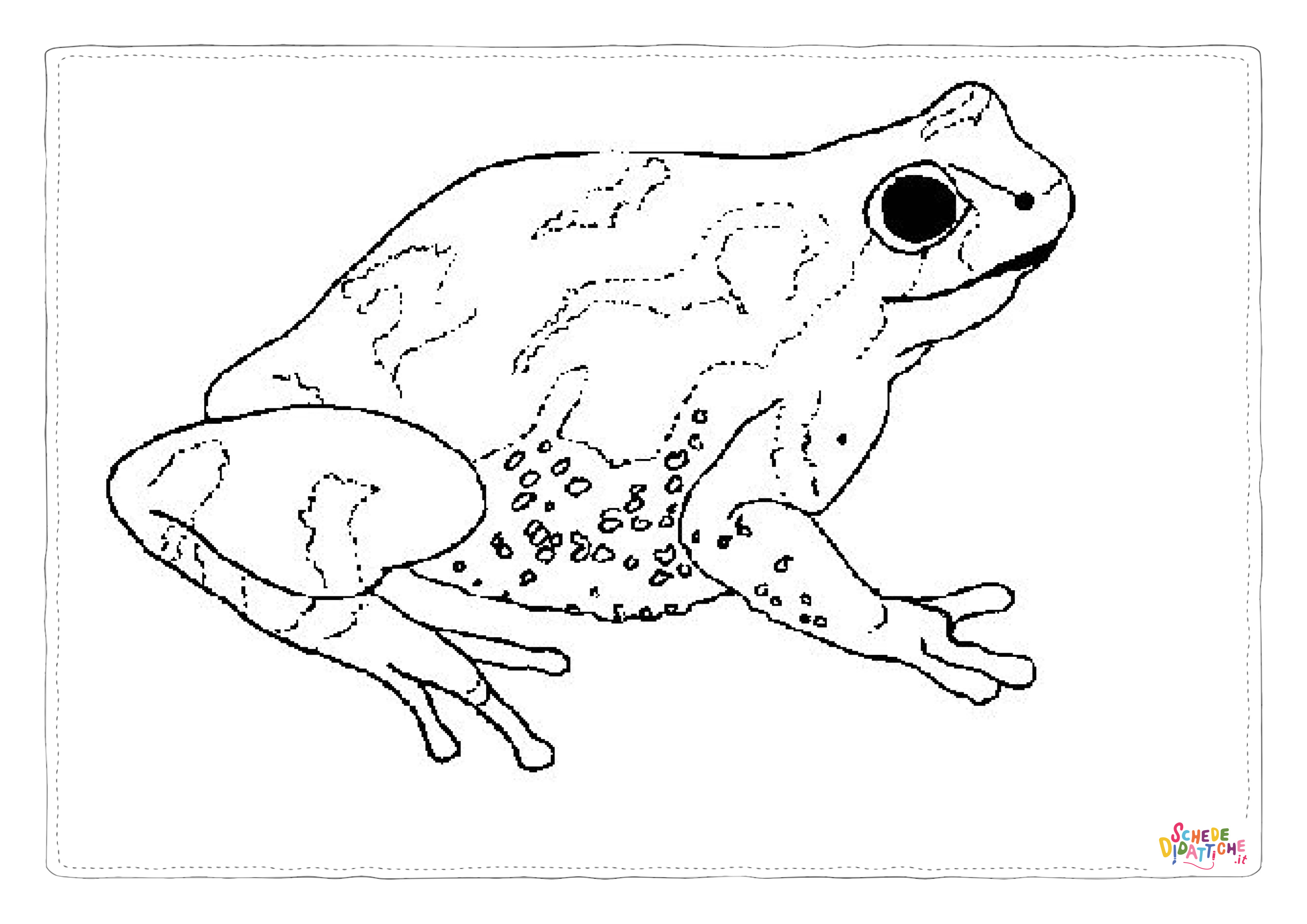 Disegno "Disegno di rana da stampare e colorare 50" Disegno di rana da stampare e colorare 50