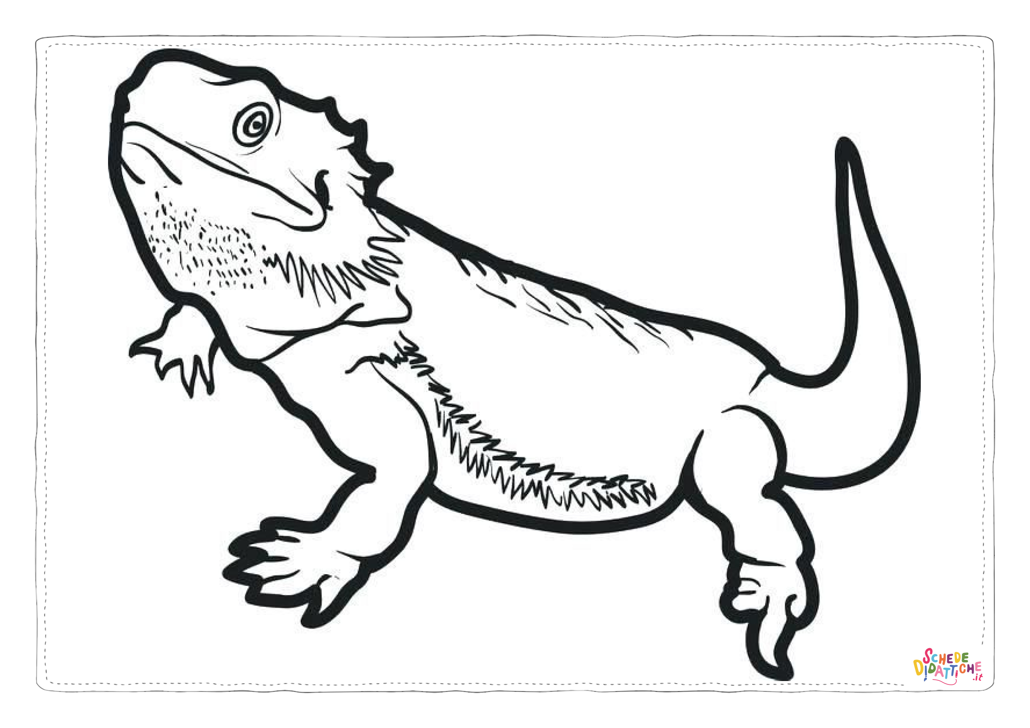 Disegno di iguana da stampare e colorare 18