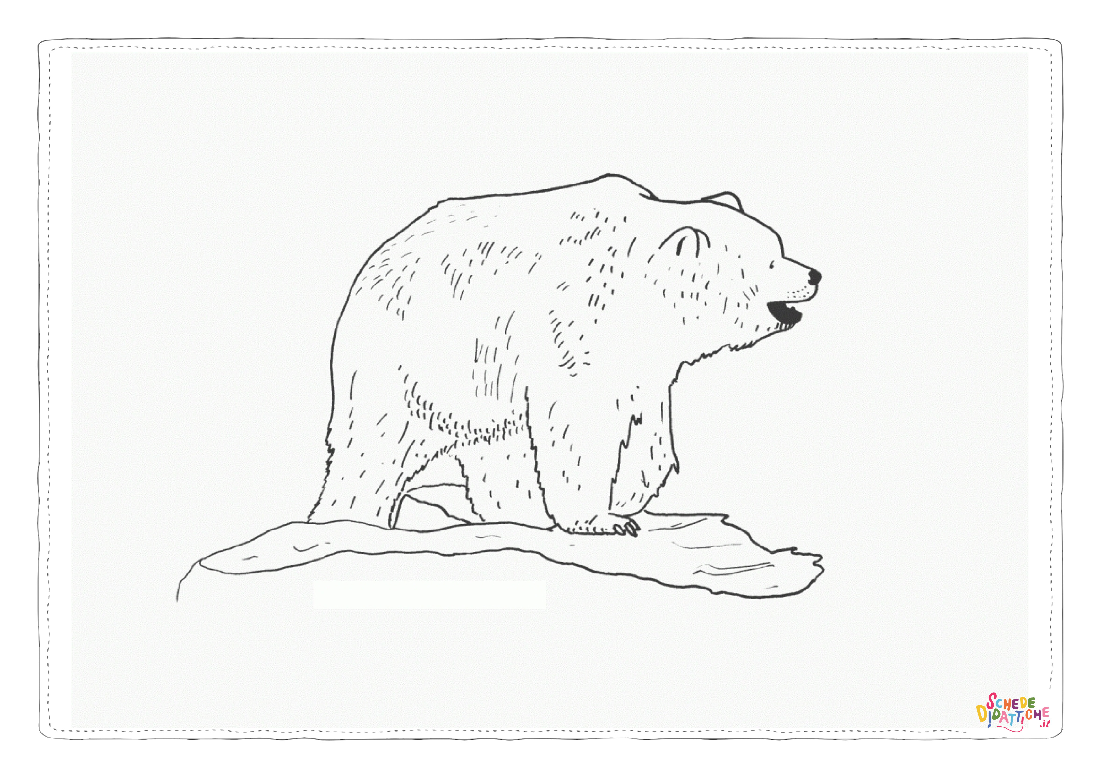 Disegno di orso polare da stampare e colorare 12