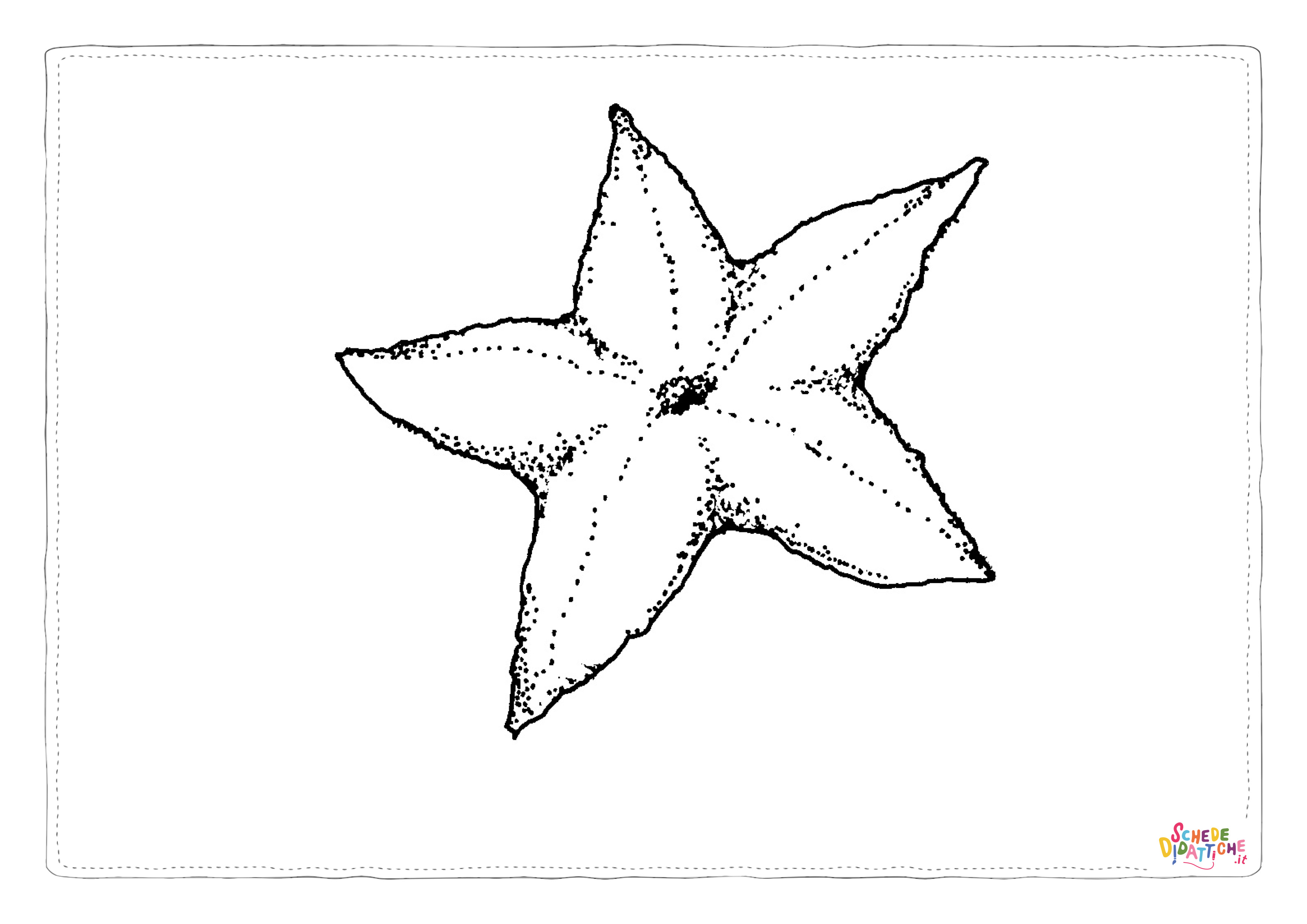 Disegno di stella marina da stampare e colorare 5