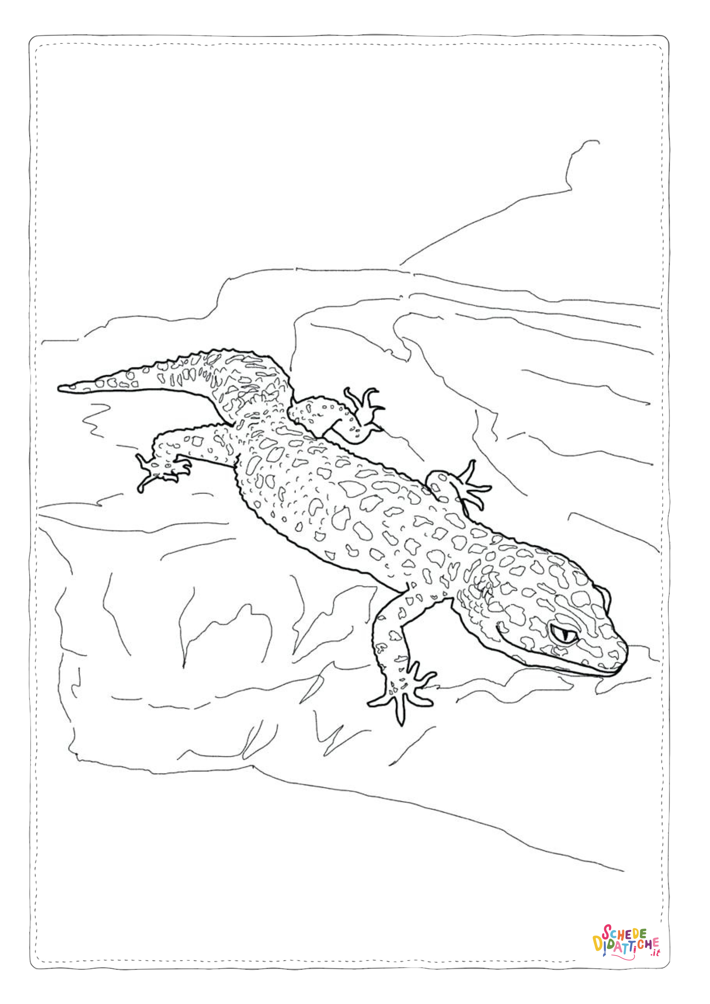 Disegno di iguana da stampare e colorare 15