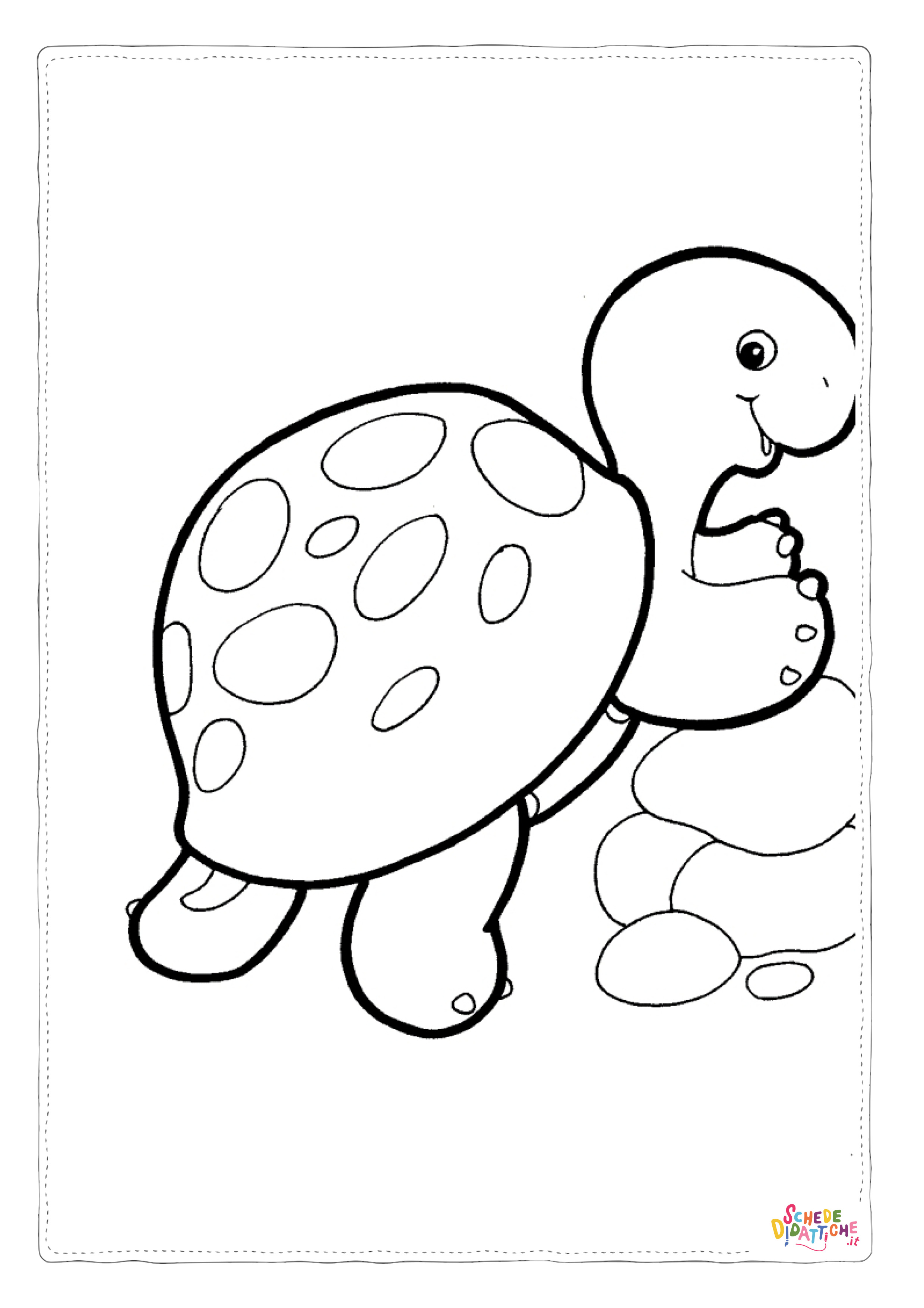 Disegno di tartaruga di terra da stampare e colorare 12
