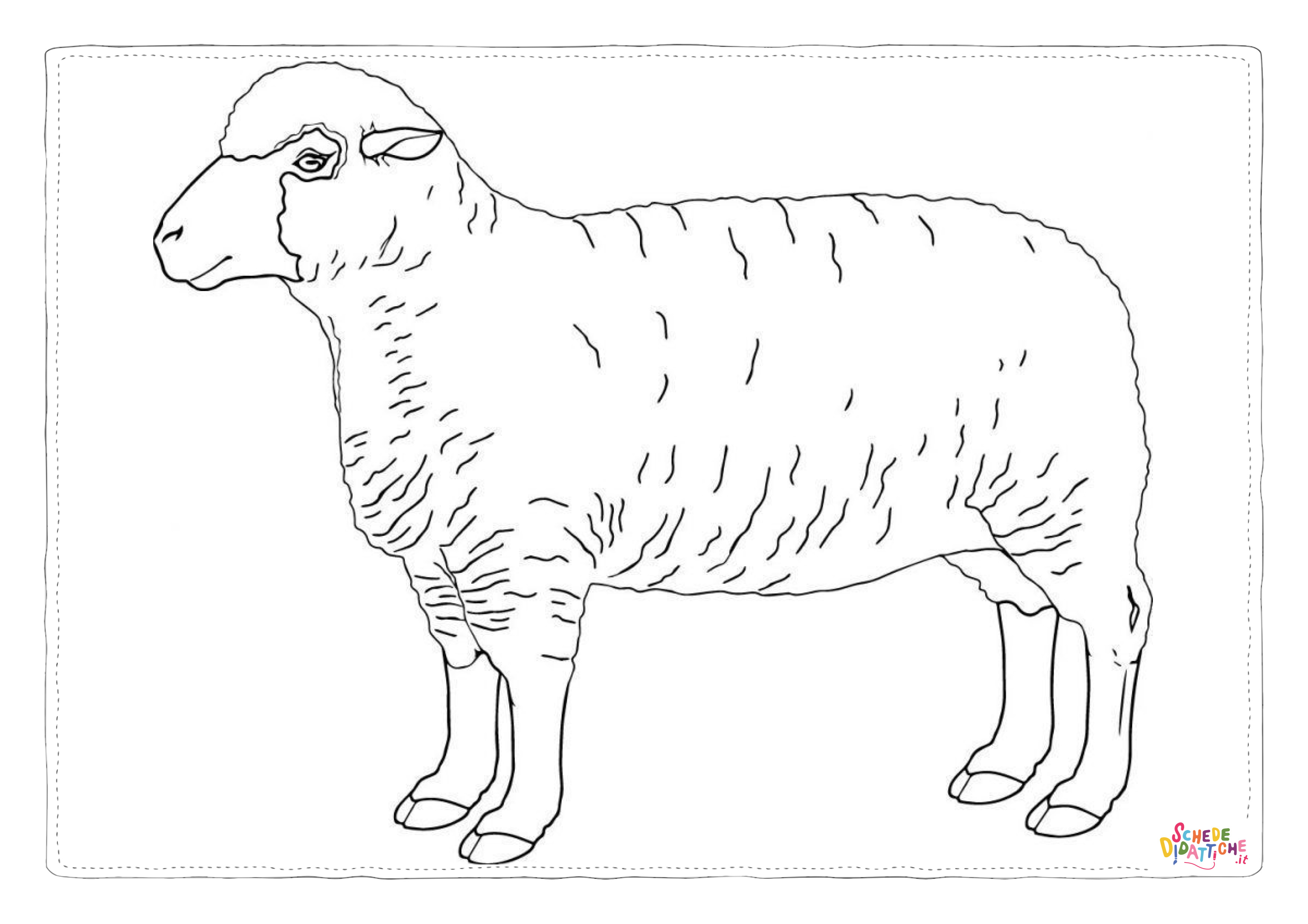 Disegno "Disegno di pecora da stampare e colorare 74" Disegno di pecora da stampare e colorare 74