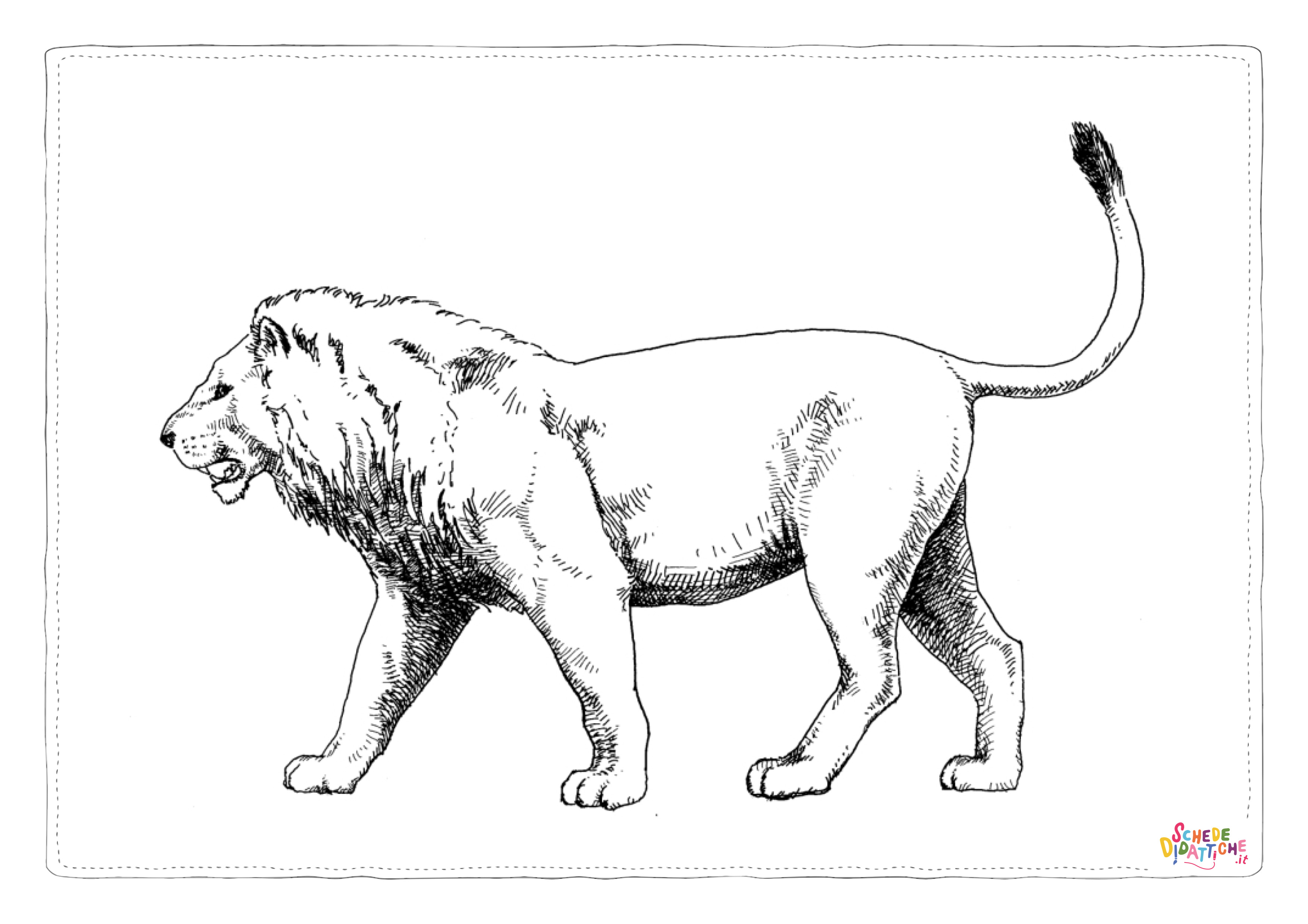 Disegno "Disegno di leone da stampare e colorare 43" Disegno di leone da stampare e colorare 43