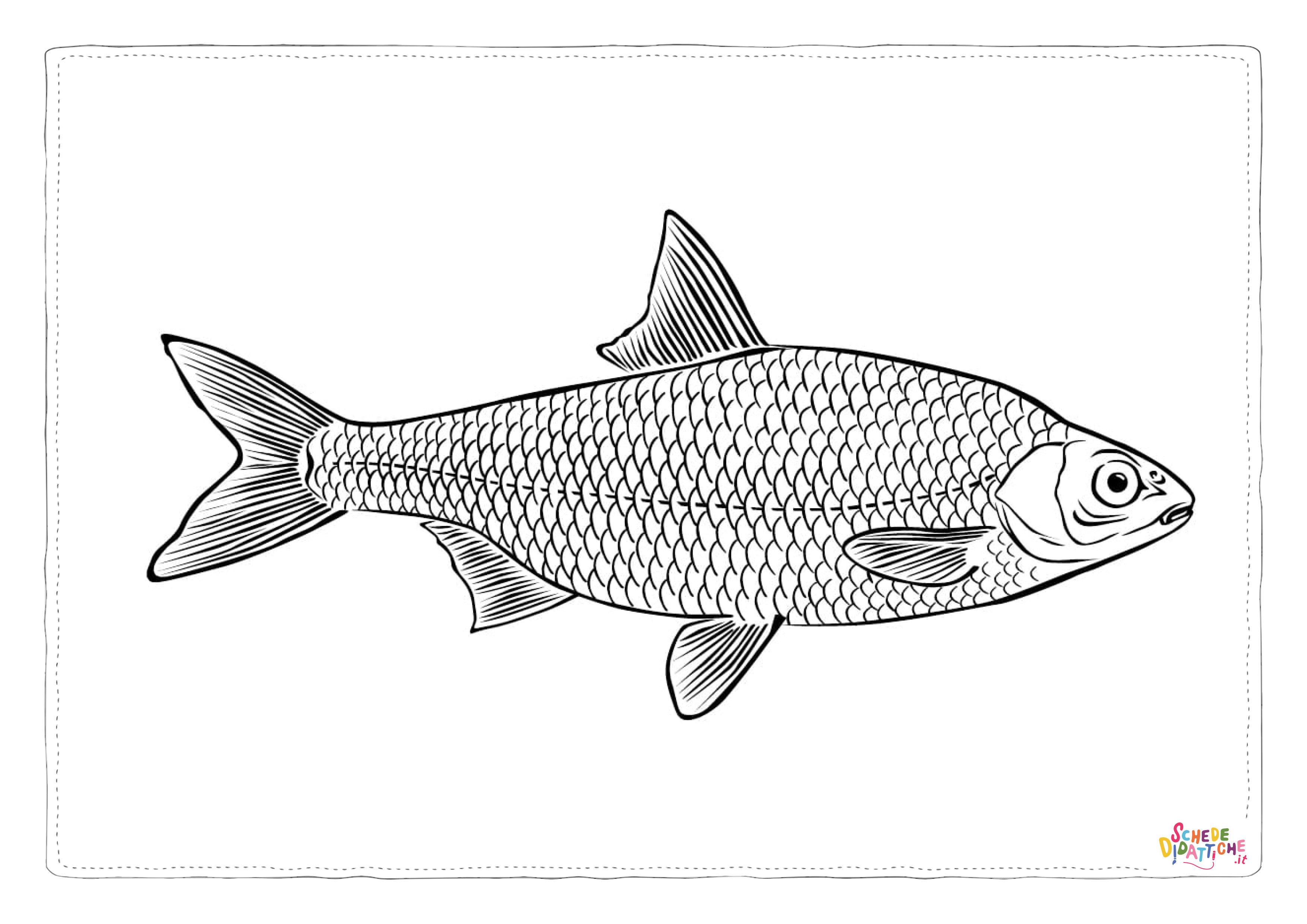 Disegno "Disegno di pesce da stampare e colorare 149" Disegno di pesce da stampare e colorare 149