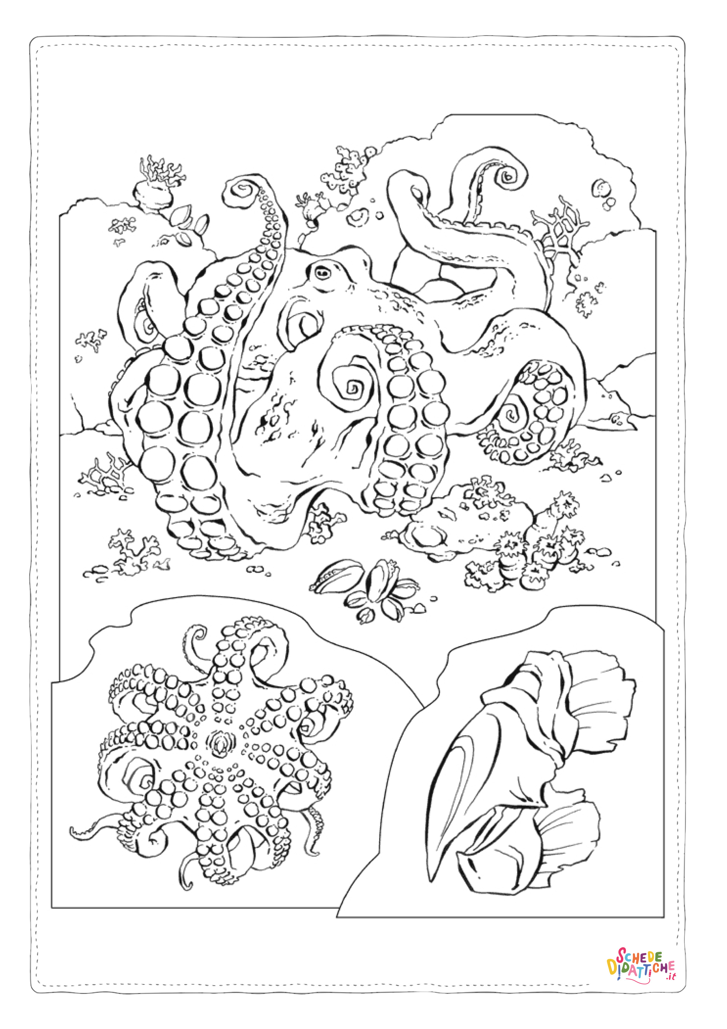 Disegno "Disegno di polpo da stampare e colorare 23" Disegno di polpo da stampare e colorare 23