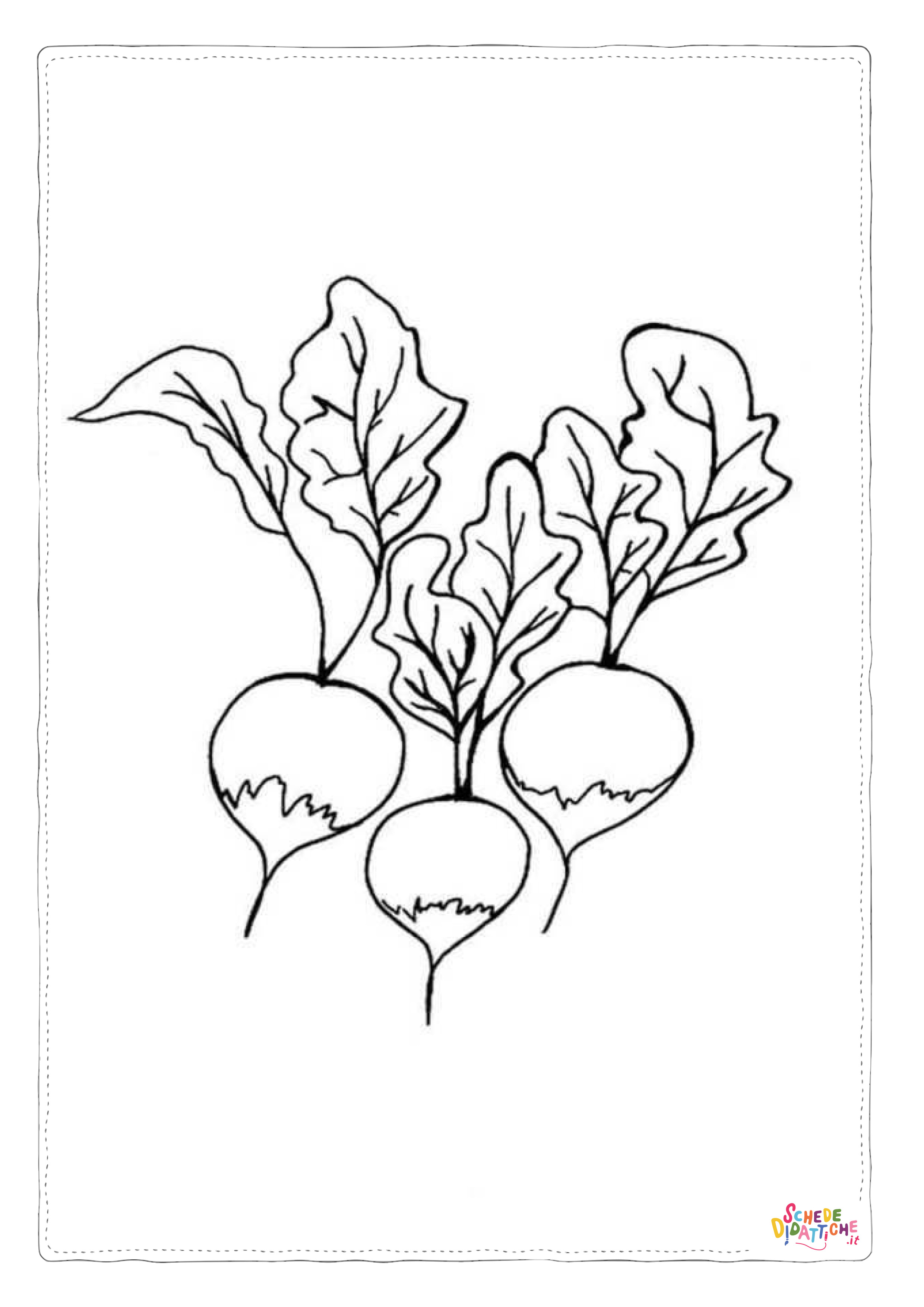 Disegno di rapa da stampare e colorare 9