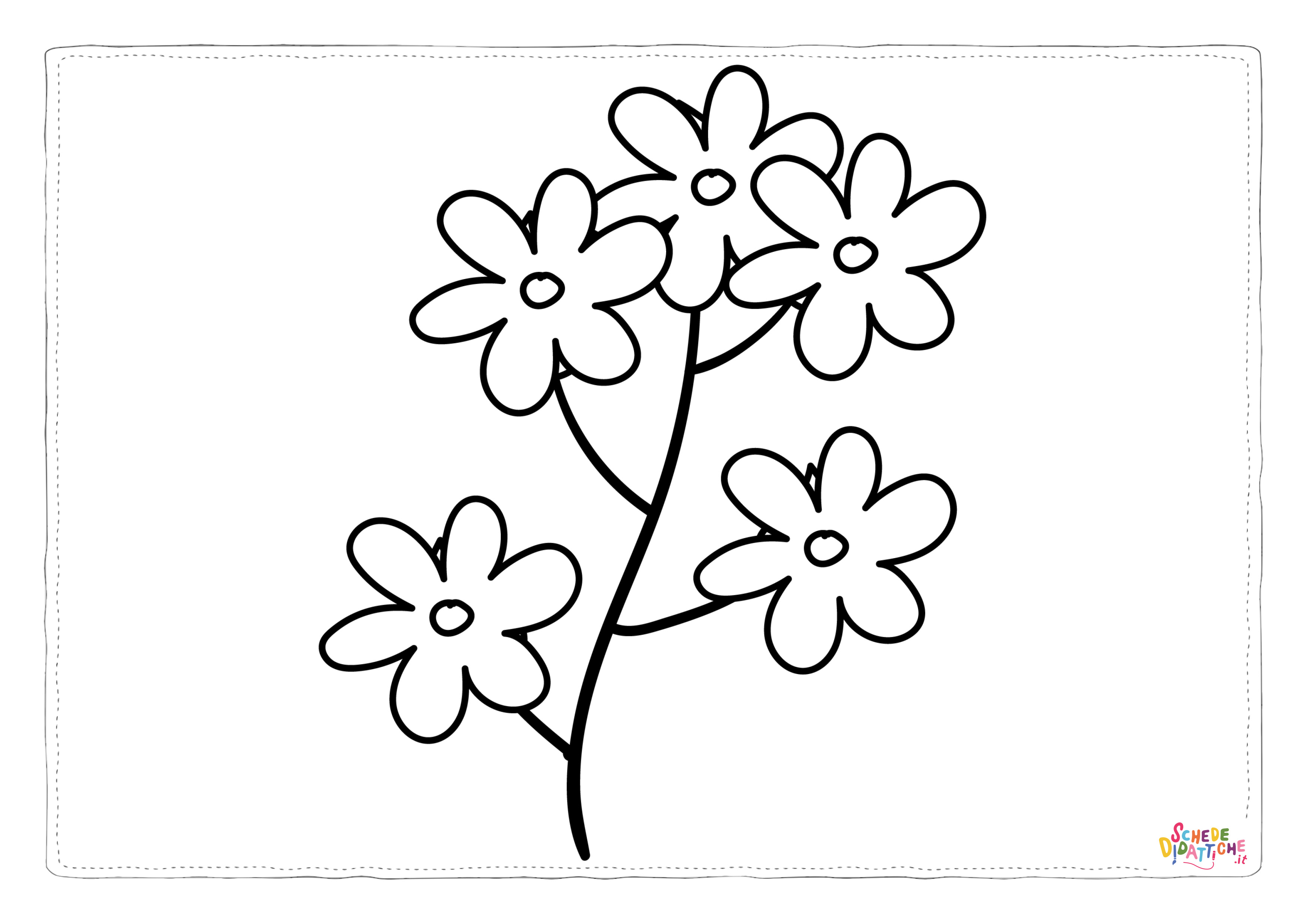 Disegno "DS1136-19" DS1136-19