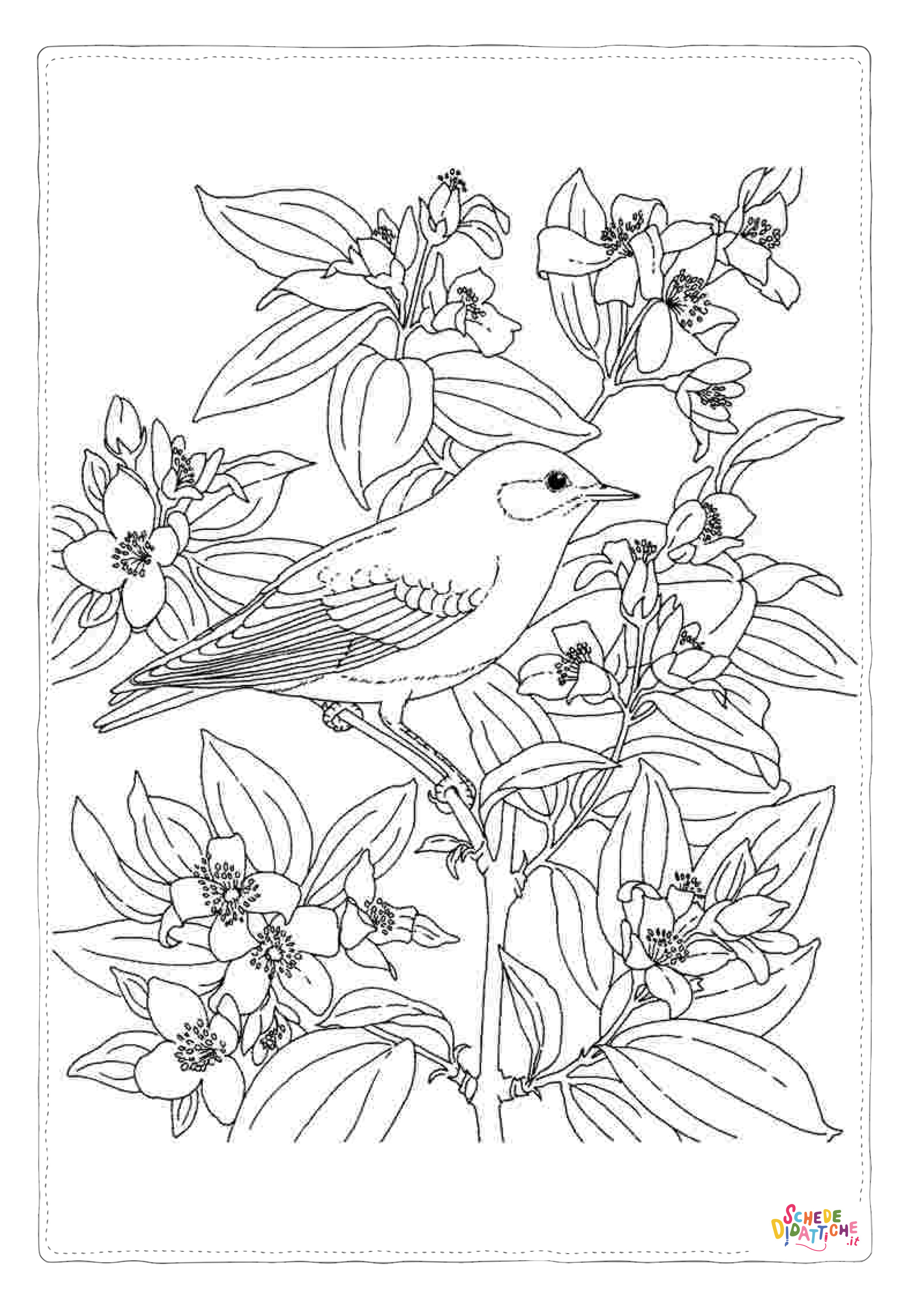 Disegno "Disegno di uccello da stampare e colorare 115" Disegno di uccello da stampare e colorare 115