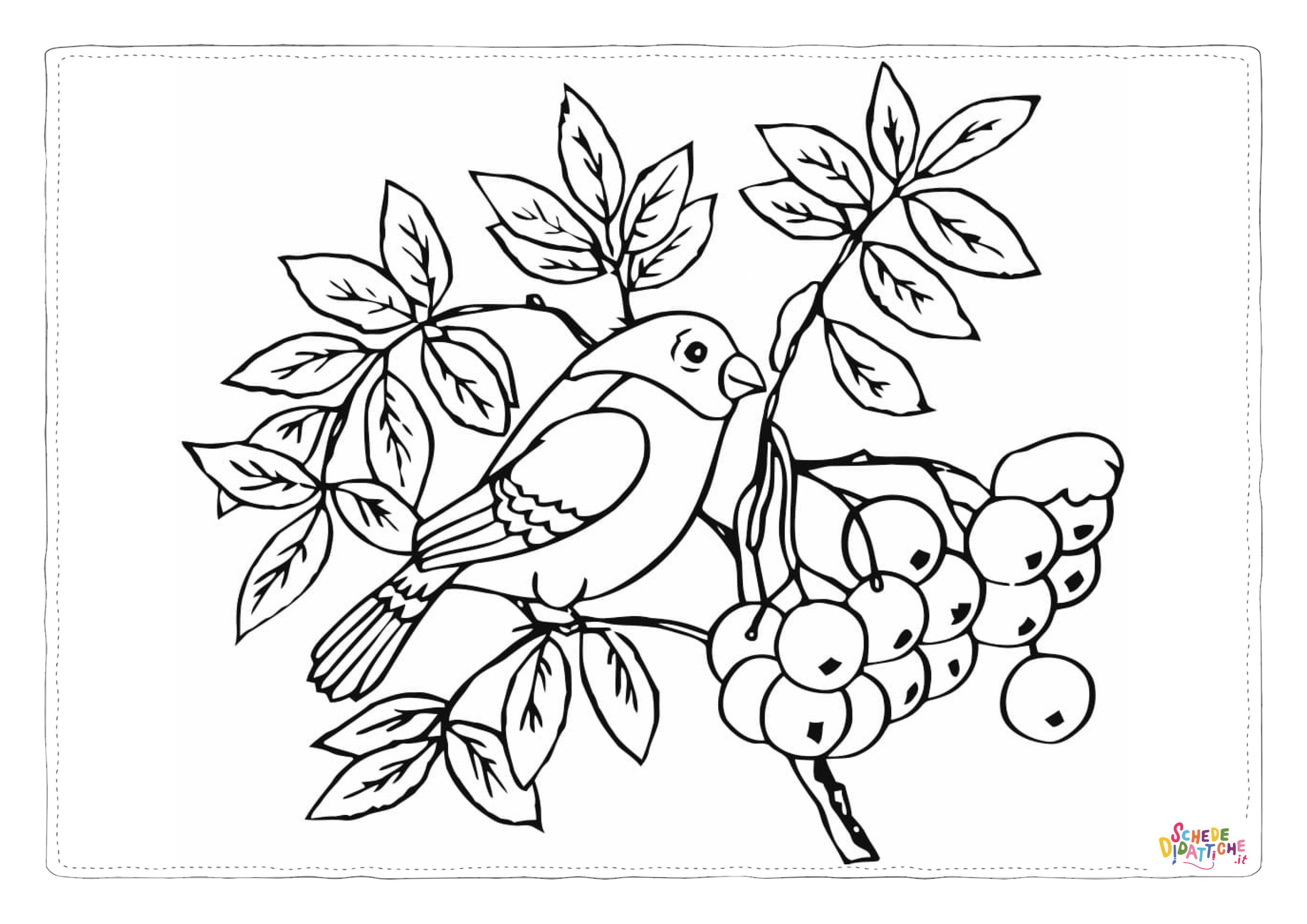Disegno "Disegno di passero da stampare e colorare 120" Disegno di passero da stampare e colorare 120