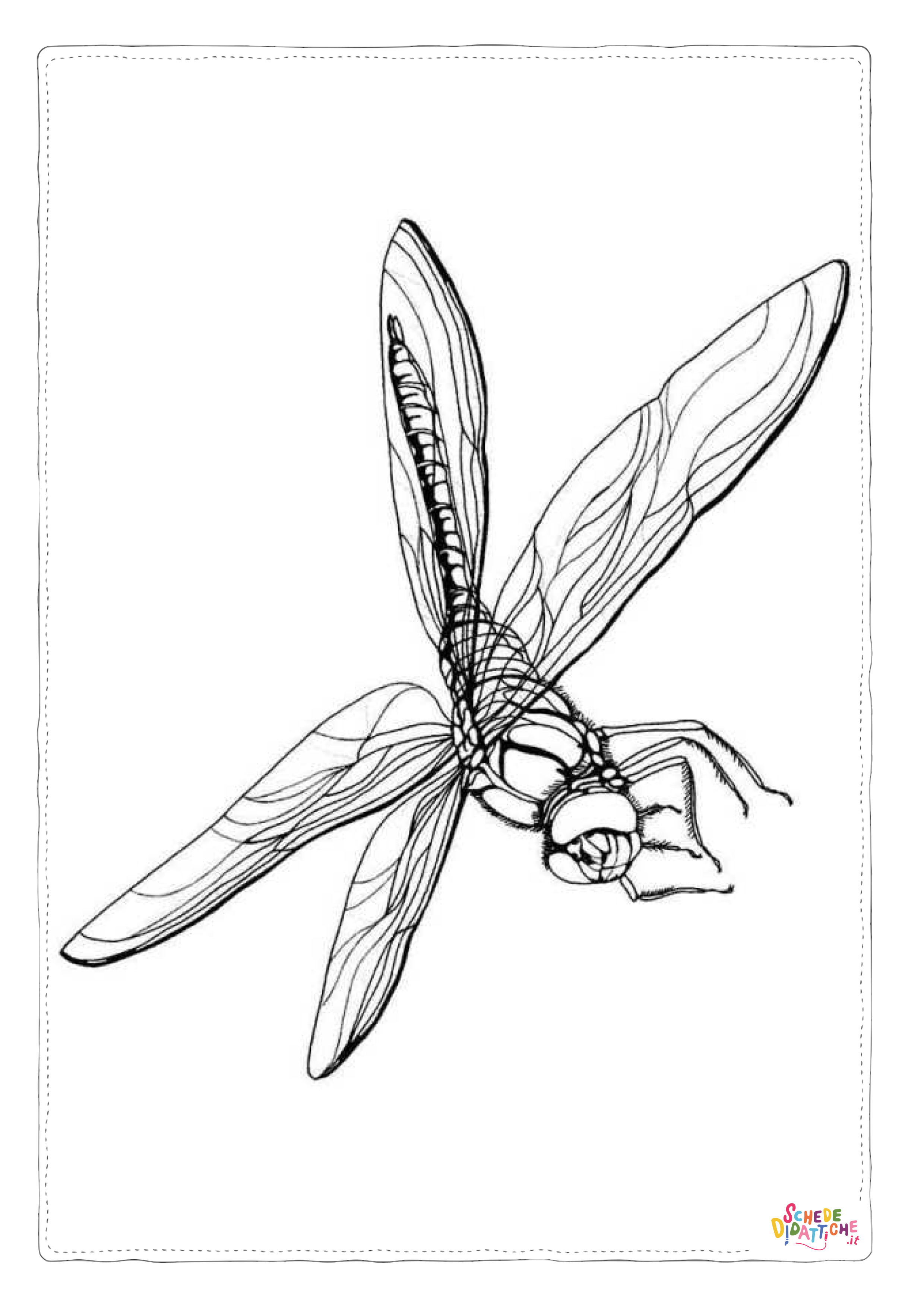 Disegno di libellula da stampare e colorare 18