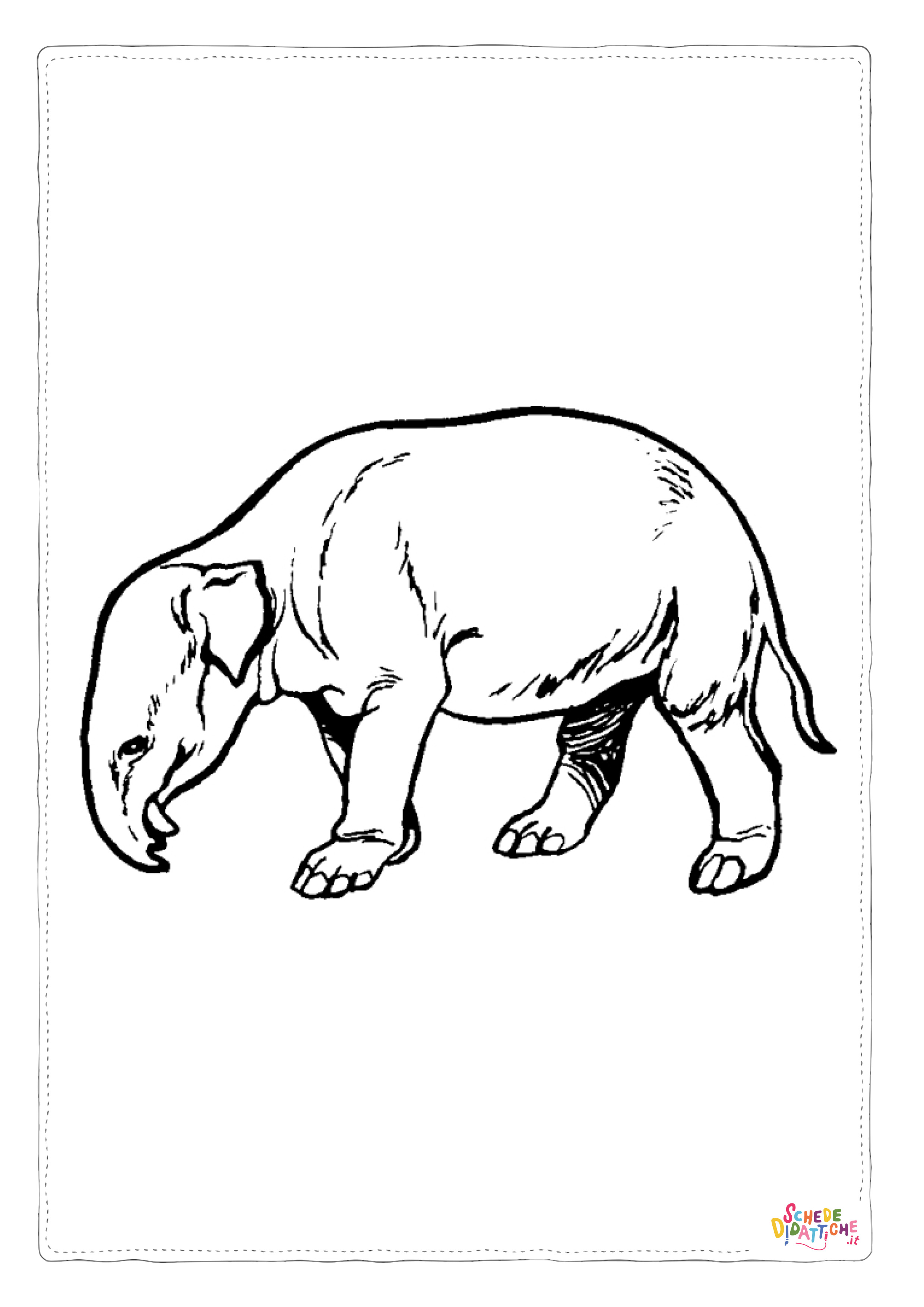 Disegno "Disegno di tapiro da stampare e colorare" Disegno di tapiro da stampare e colorare