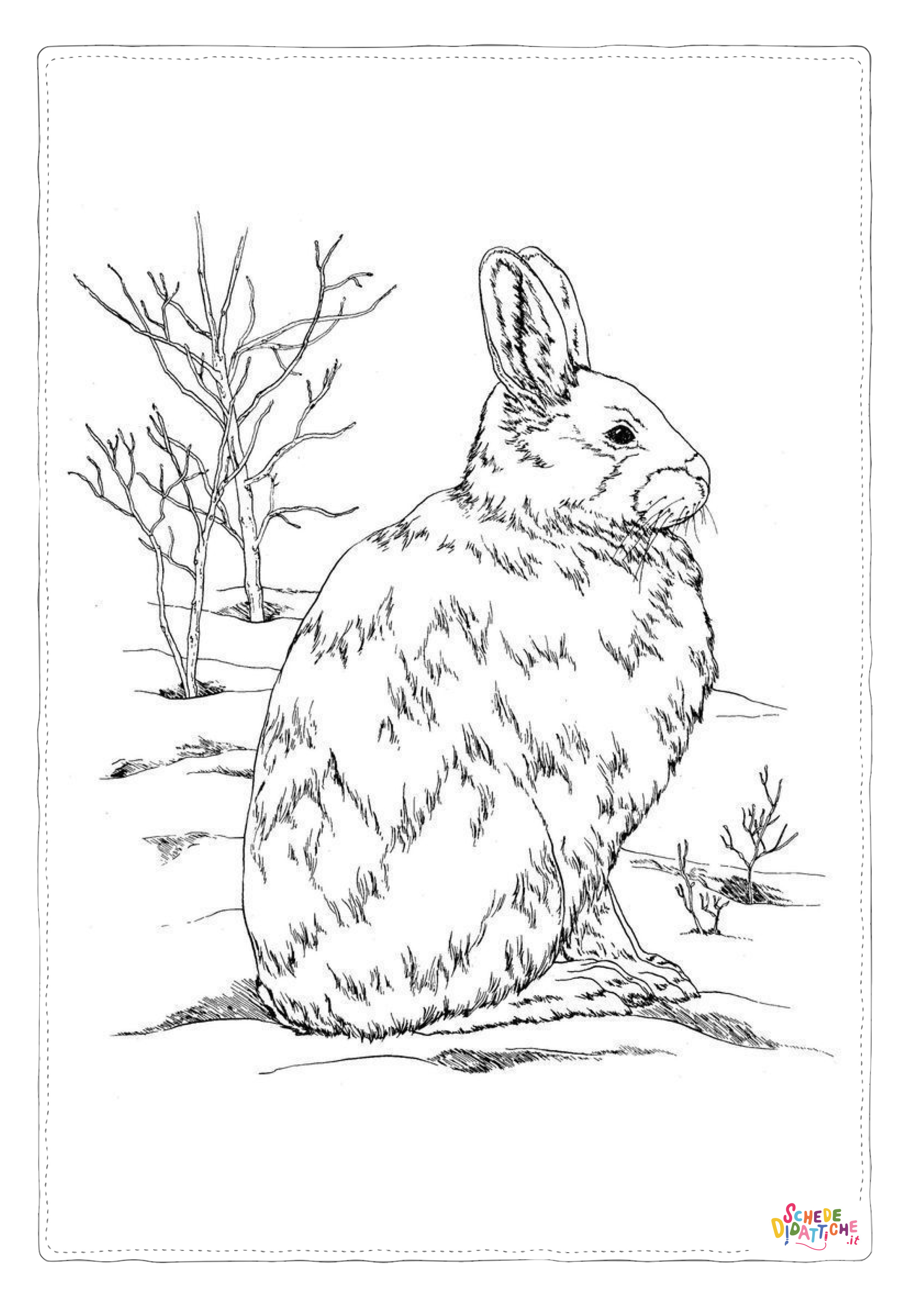 Disegno "Disegno di coniglio da stampare e colorare 25" Disegno di coniglio da stampare e colorare 25