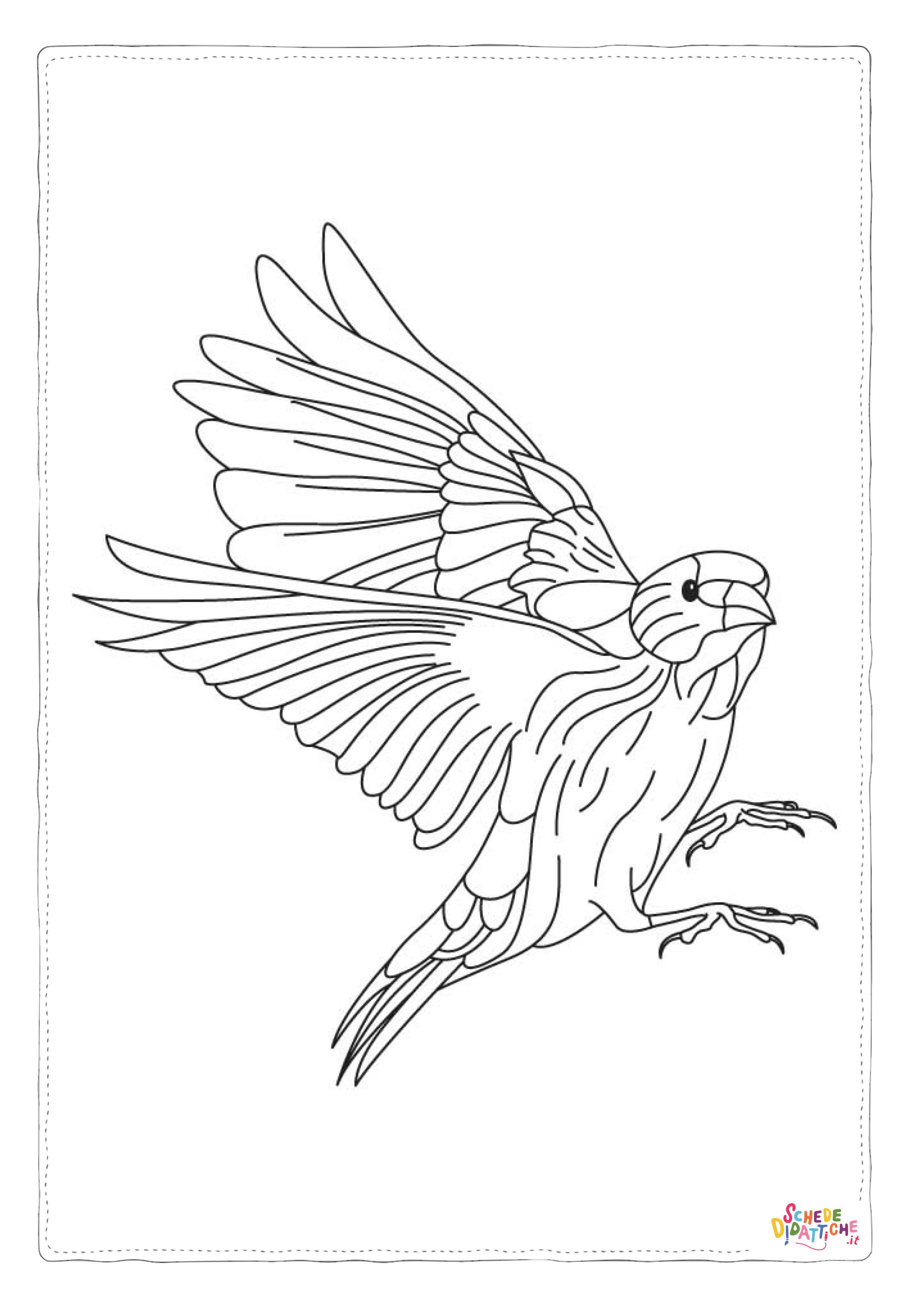 Disegno "Disegno di uccello da stampare e colorare 27" Disegno di uccello da stampare e colorare 27
