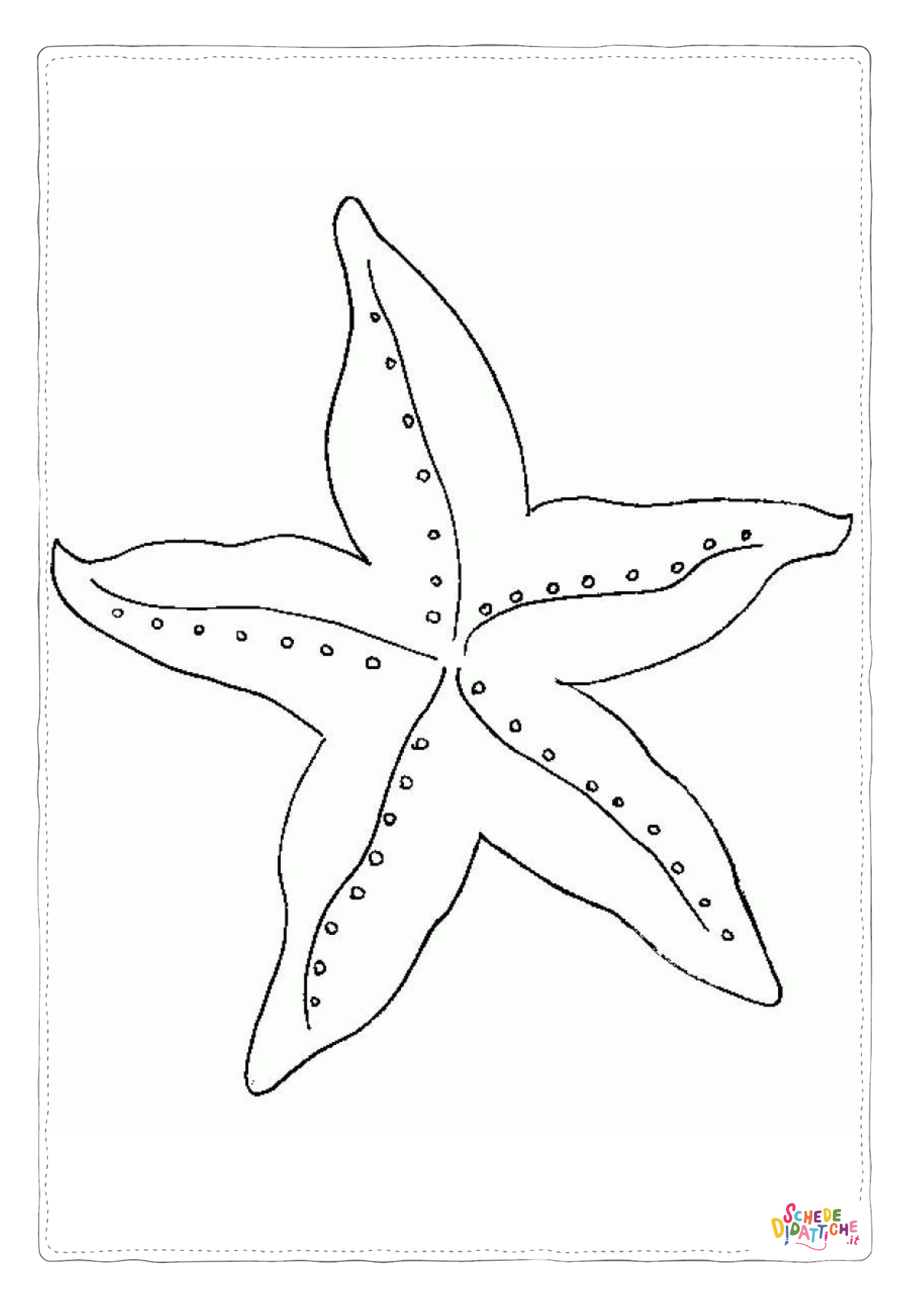 Disegno di stella marina da stampare e colorare 8