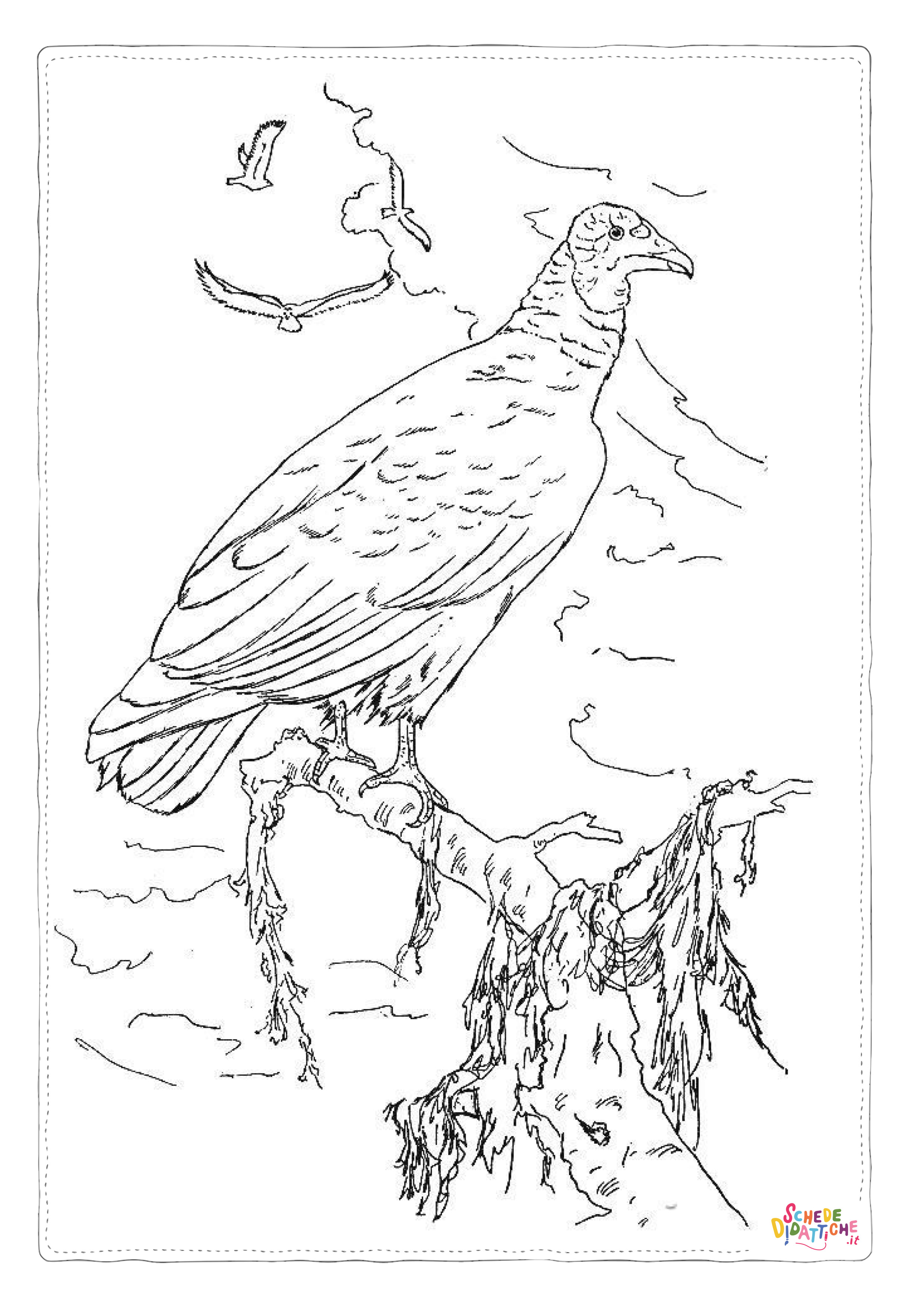 Disegno "Disegno di uccello da stampare e colorare 75" Disegno di uccello da stampare e colorare 75