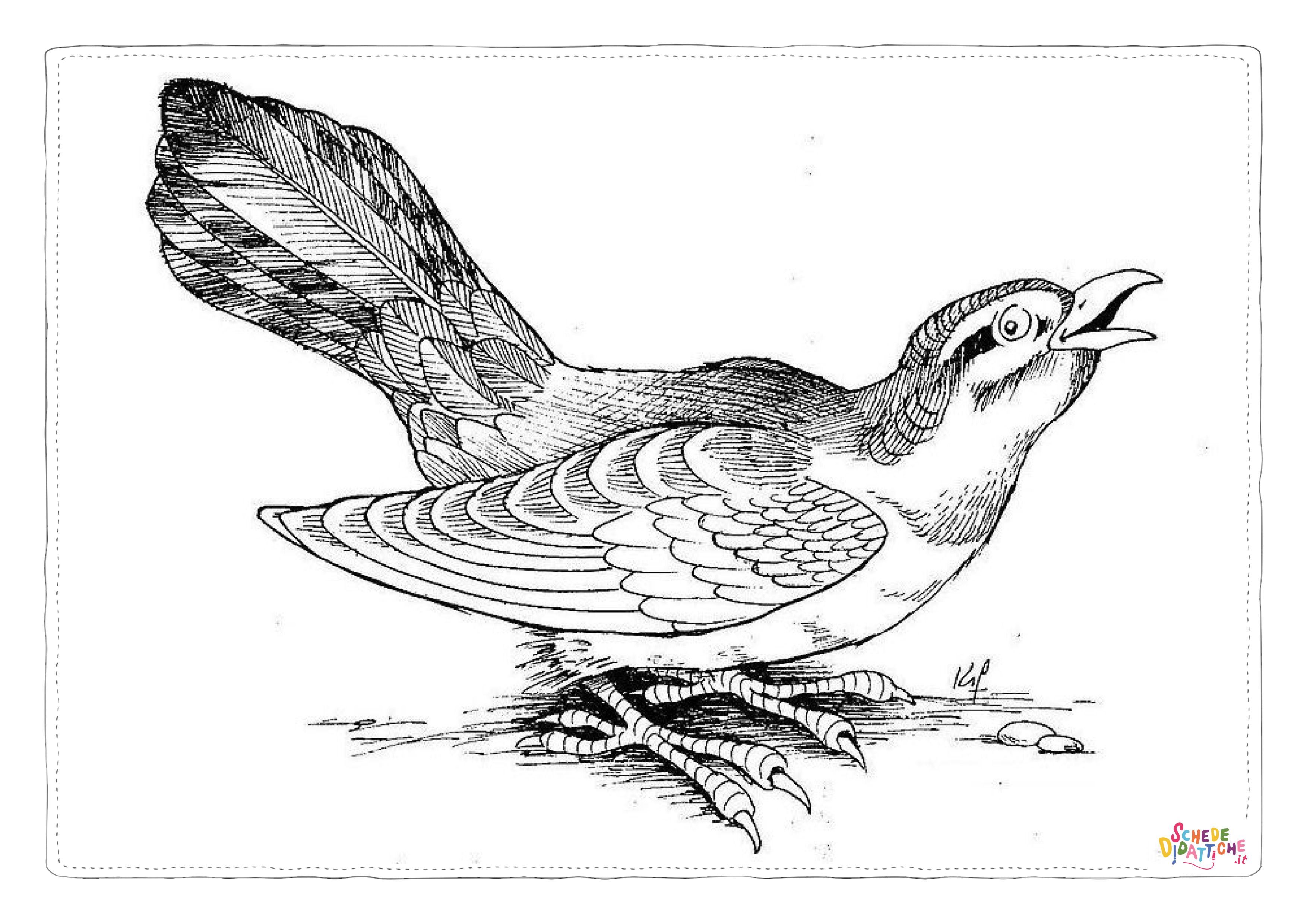 Disegno "Disegno di uccello da stampare e colorare 68" Disegno di uccello da stampare e colorare 68