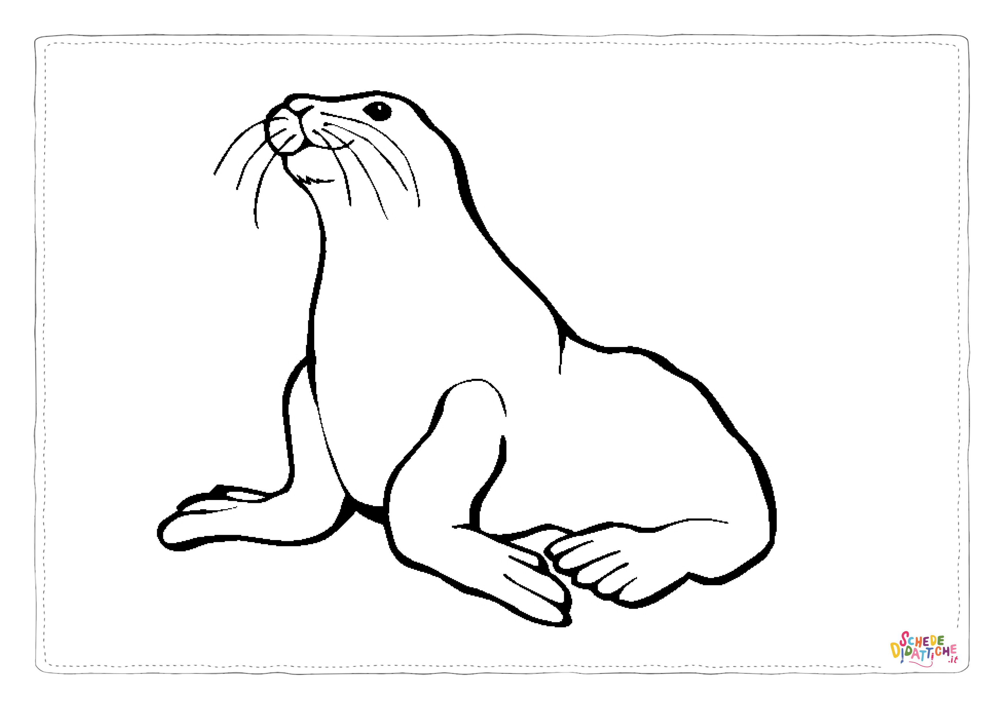 Disegno "Disegno di foca da stampare e colorare 23" Disegno di foca da stampare e colorare 23