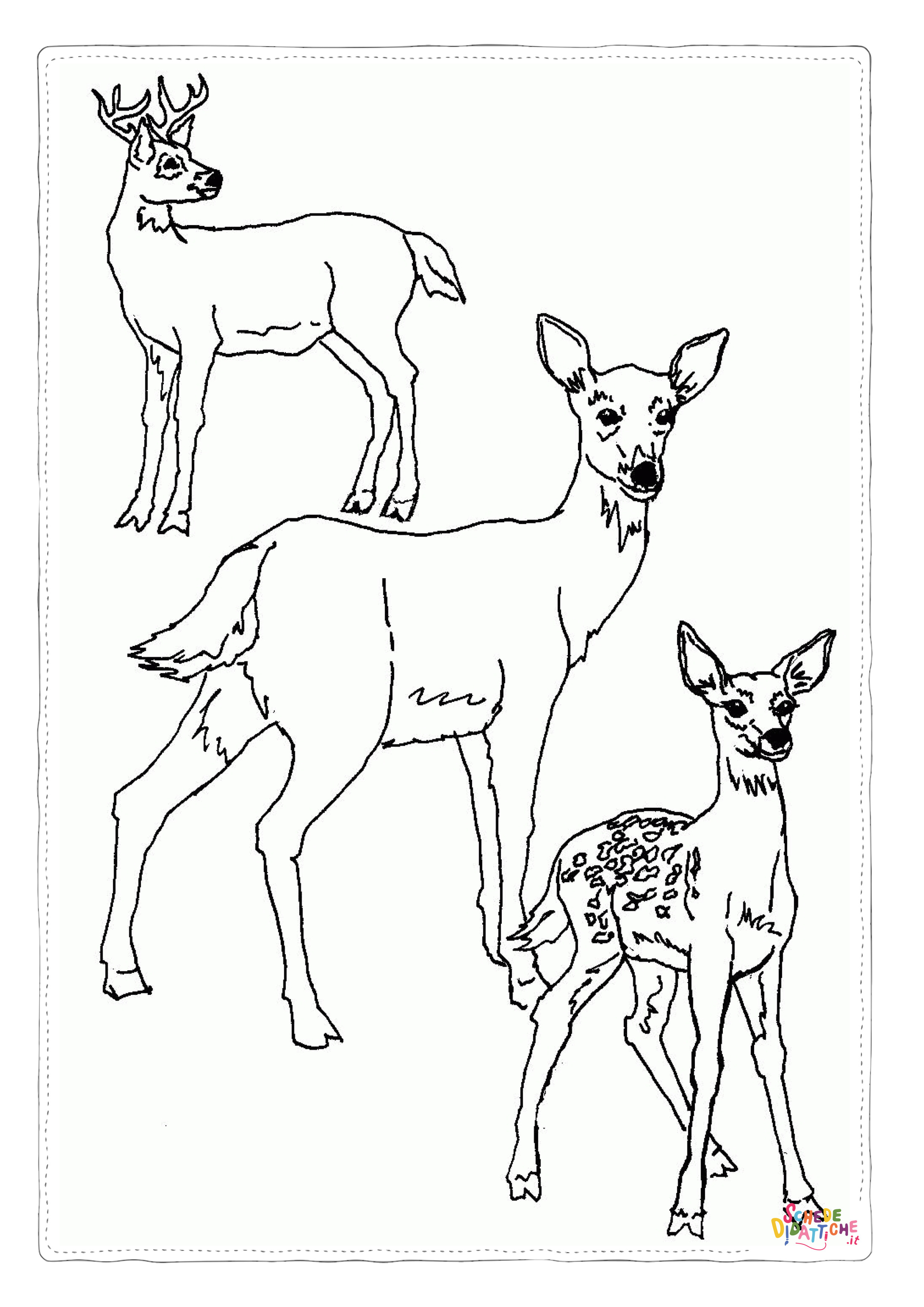 Disegno "Disegno di camoscio da stampare e colorare" Disegno di camoscio da stampare e colorare