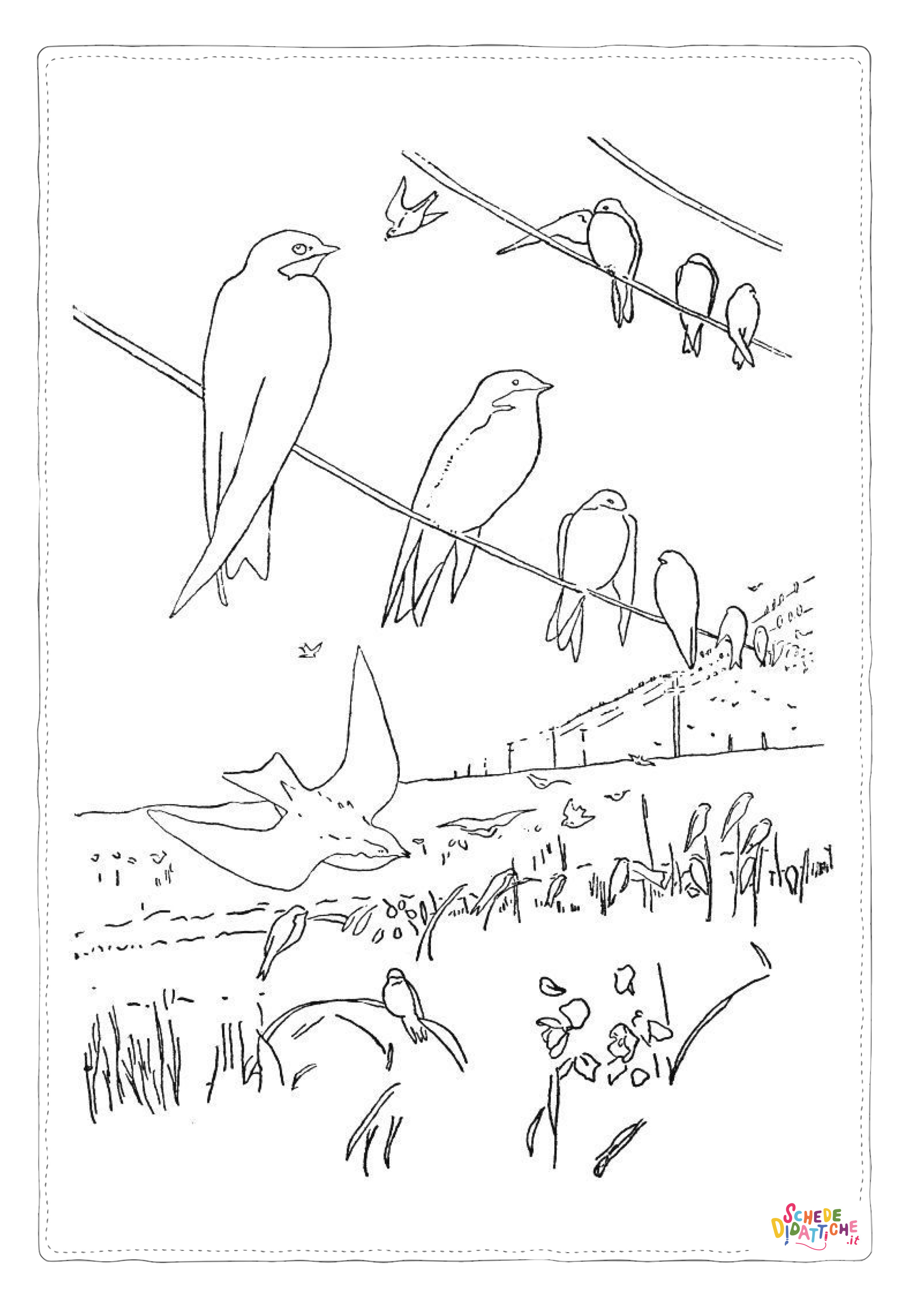 Disegno "Disegno di rondine da stampare e colorare 2" Disegno di rondine da stampare e colorare 2