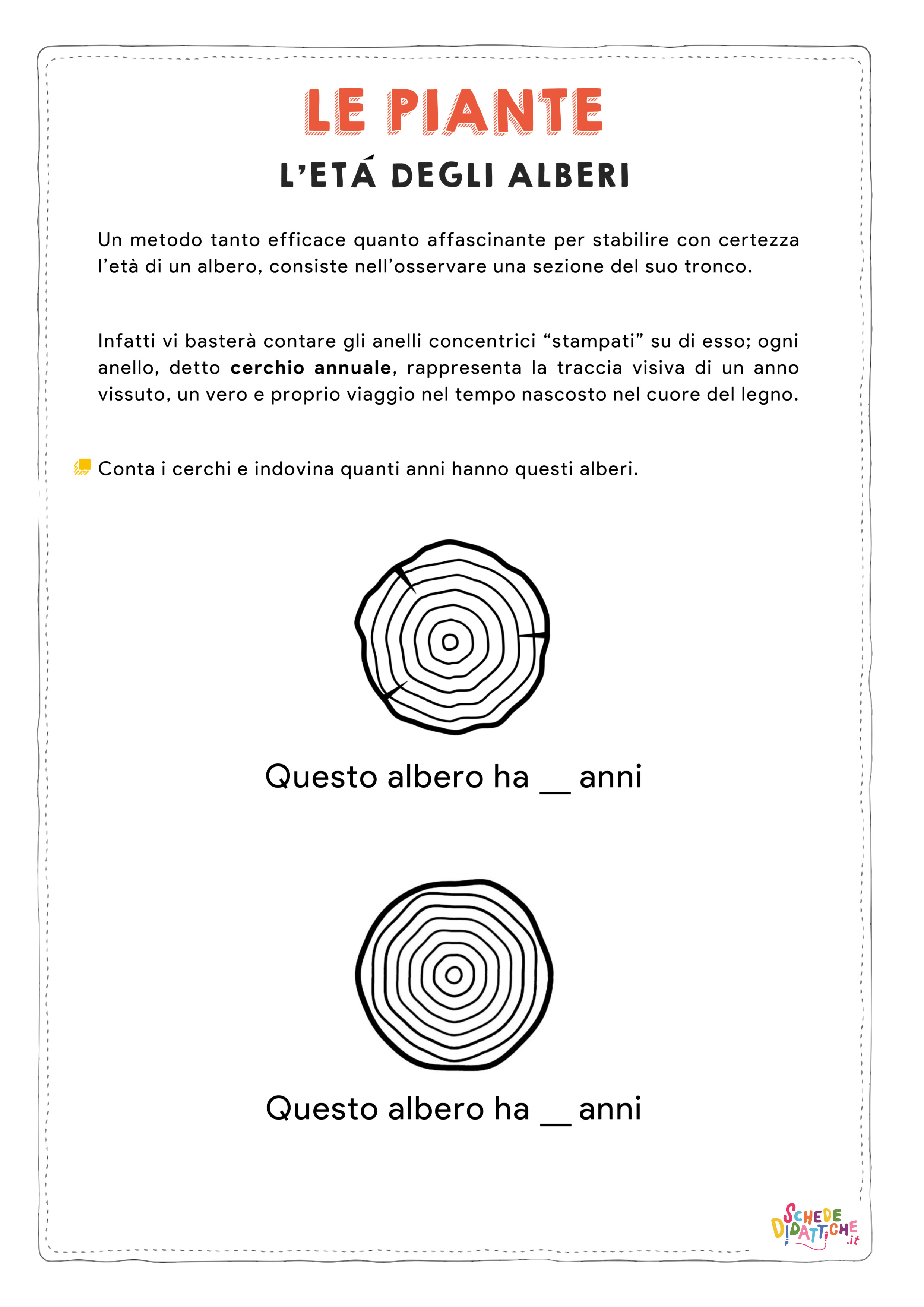 Disegno "Le piante - L'età degli alberi" Le piante - L'età degli alberi