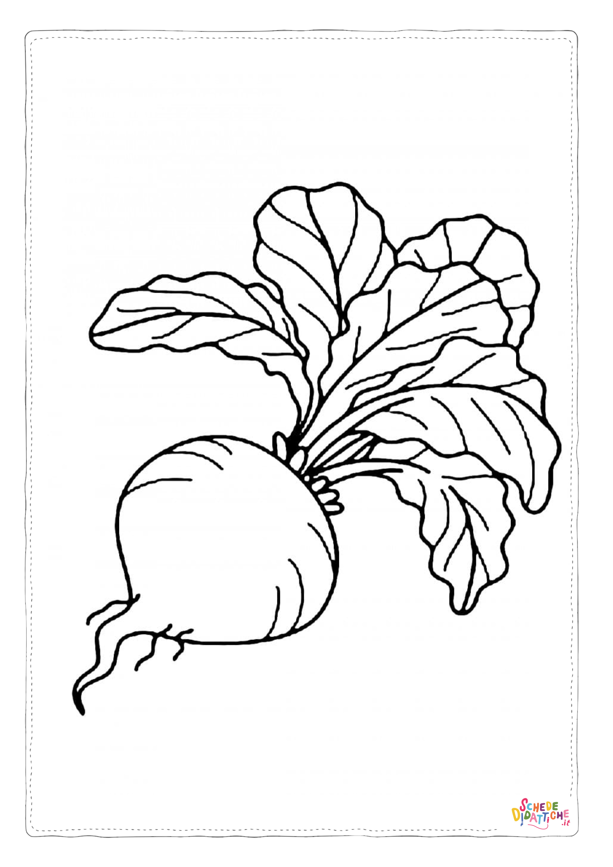 Disegno di rapa da stampare e colorare 6