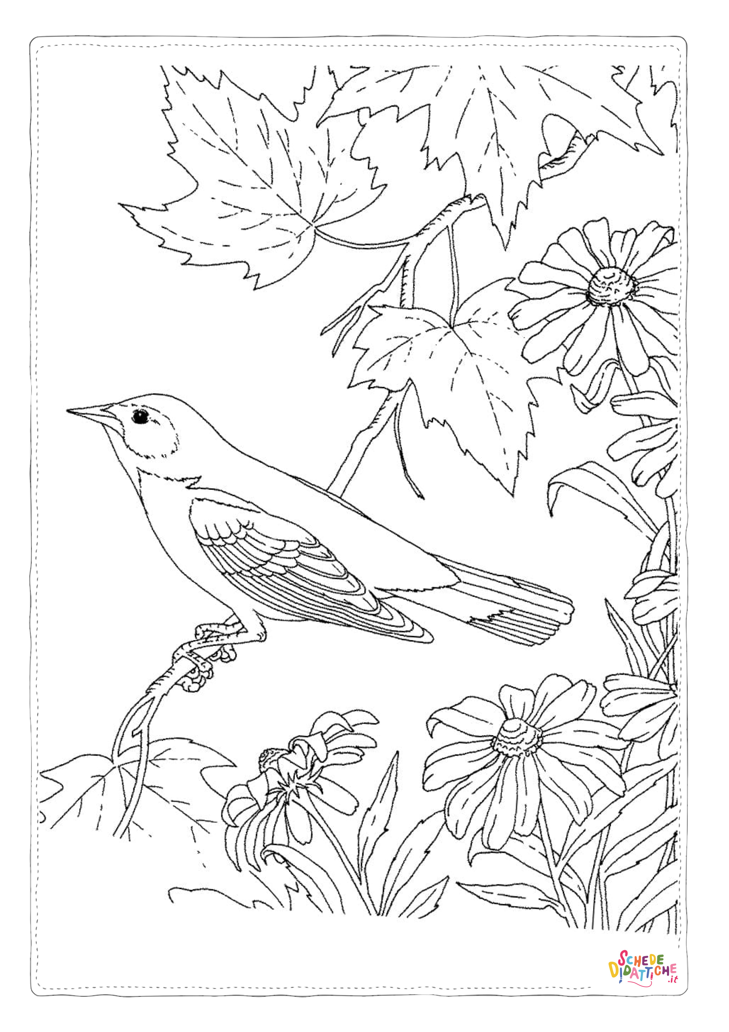 Disegno "Disegno di passero da stampare e colorare 126" Disegno di passero da stampare e colorare 126