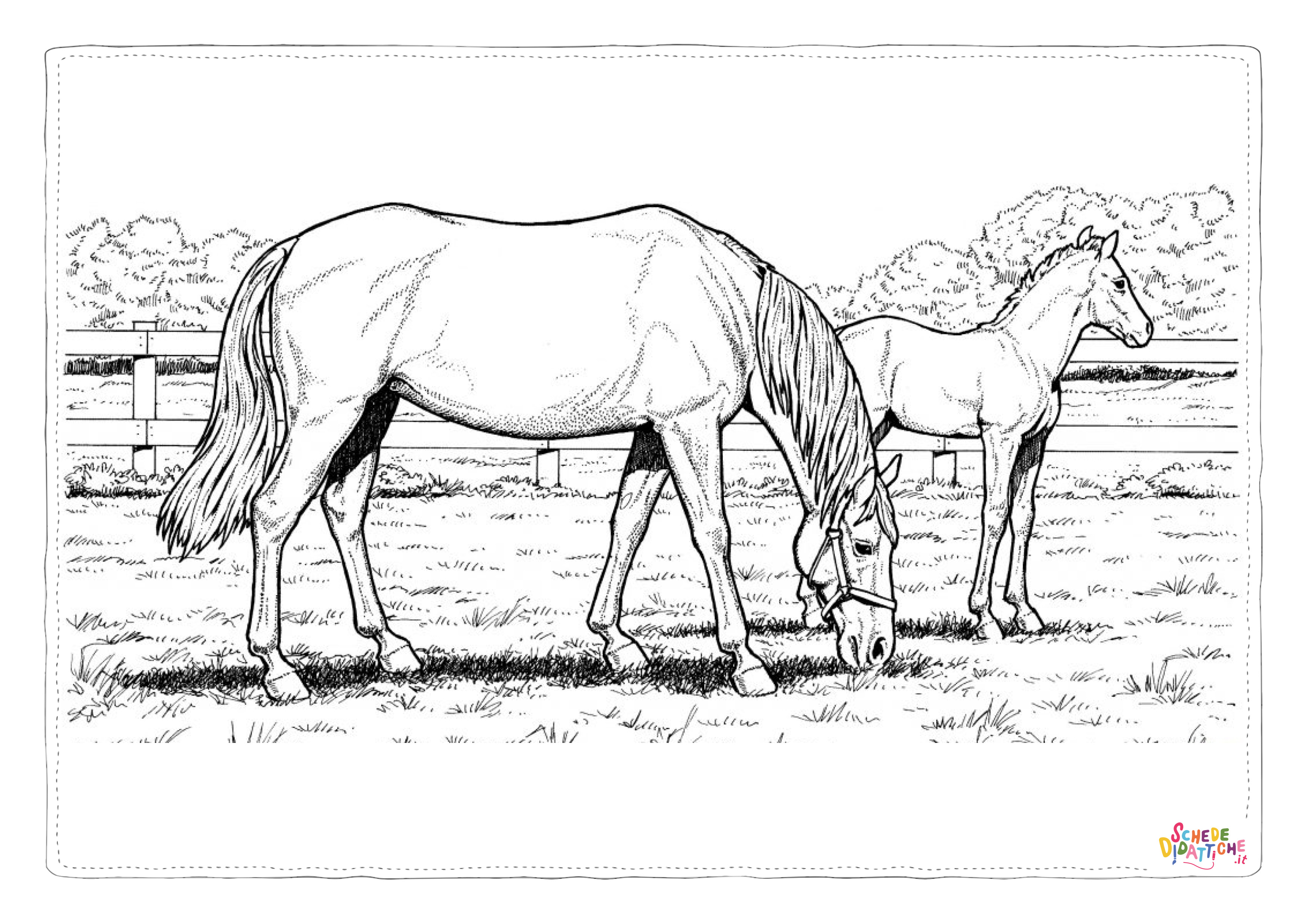 Disegno "Disegno di cavallo da stampare e colorare 165" Disegno di cavallo da stampare e colorare 165