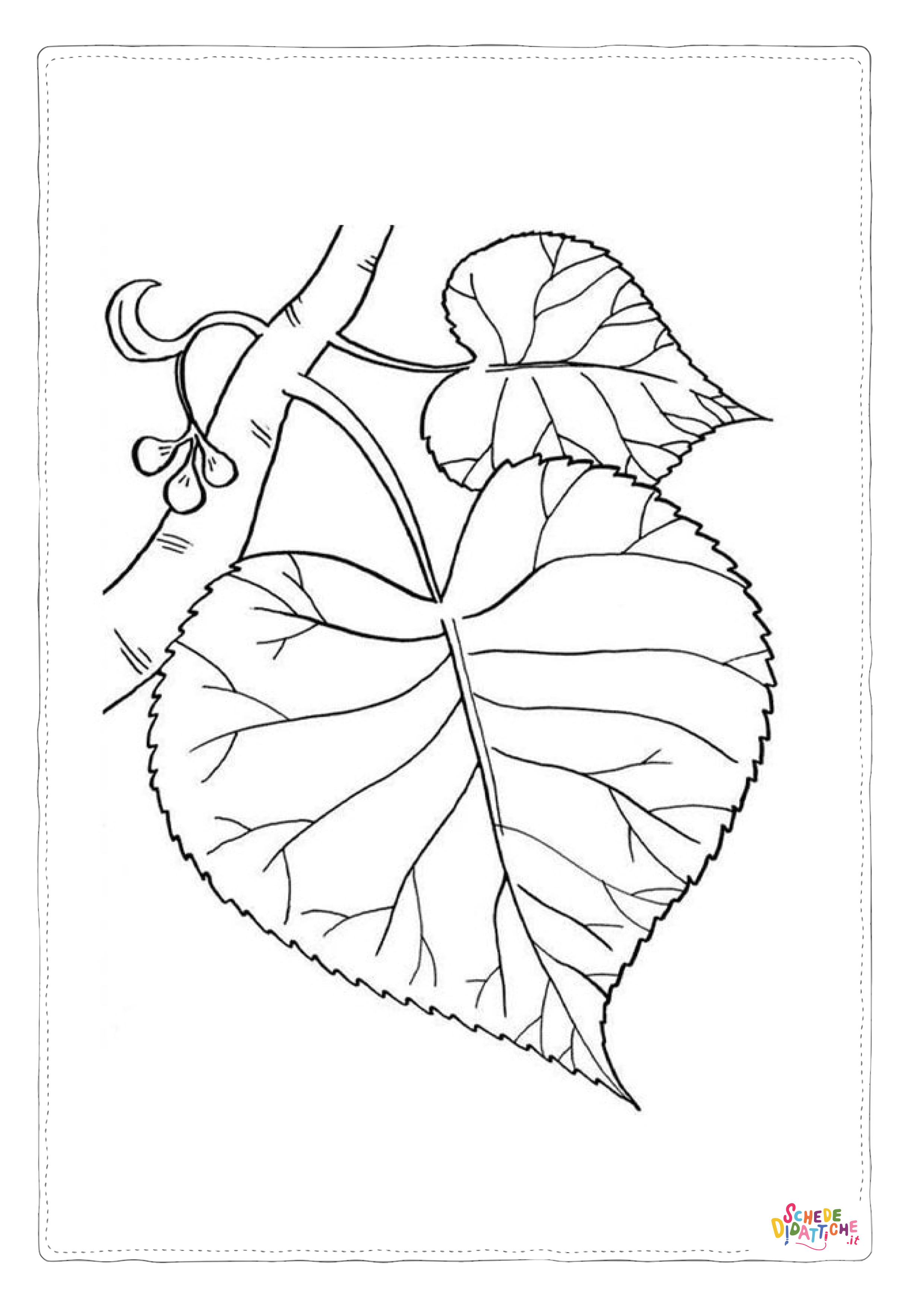 Disegno di foglia da stampare e colorare 178