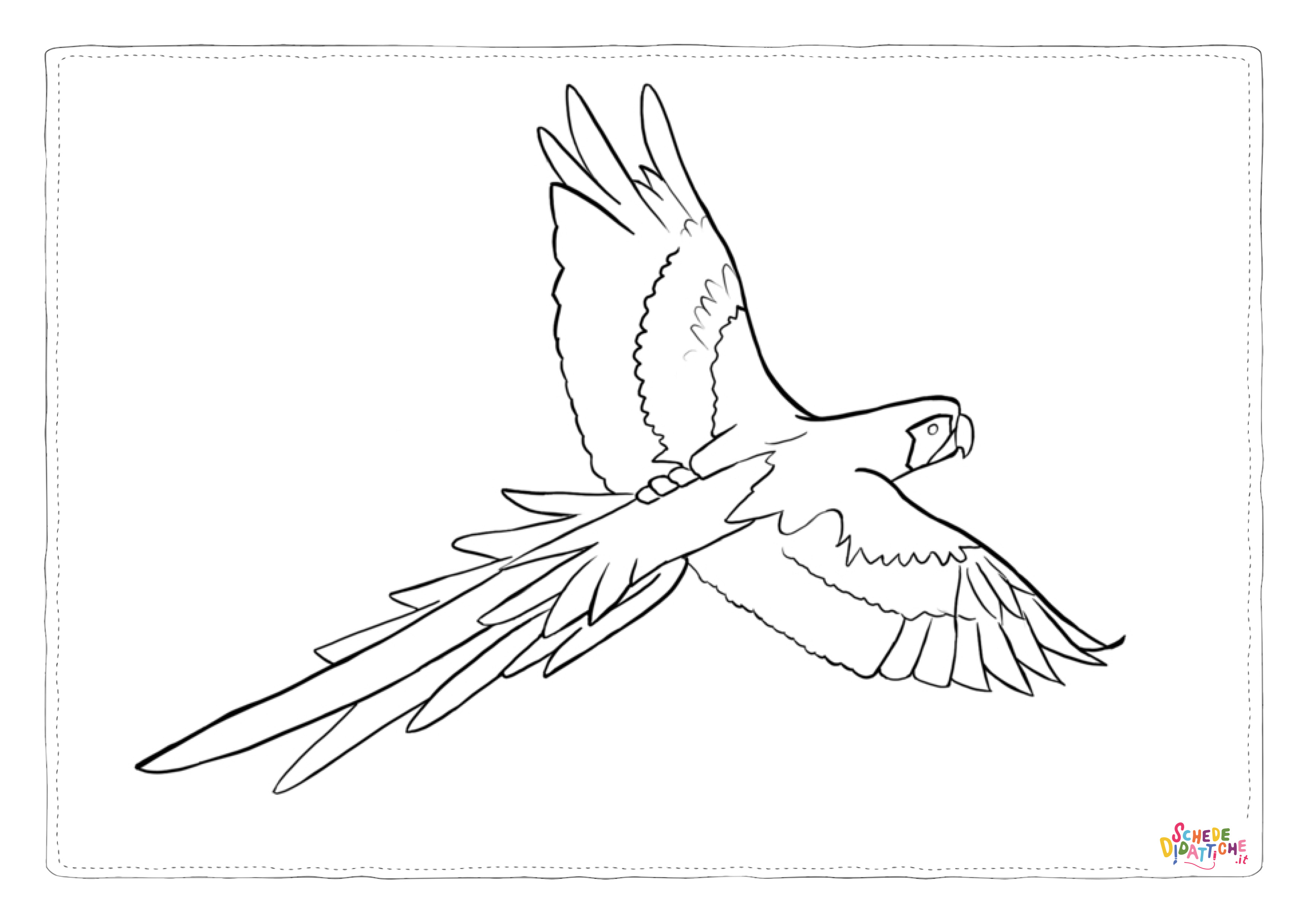 Disegno di pappagallo da stampare e colorare 174