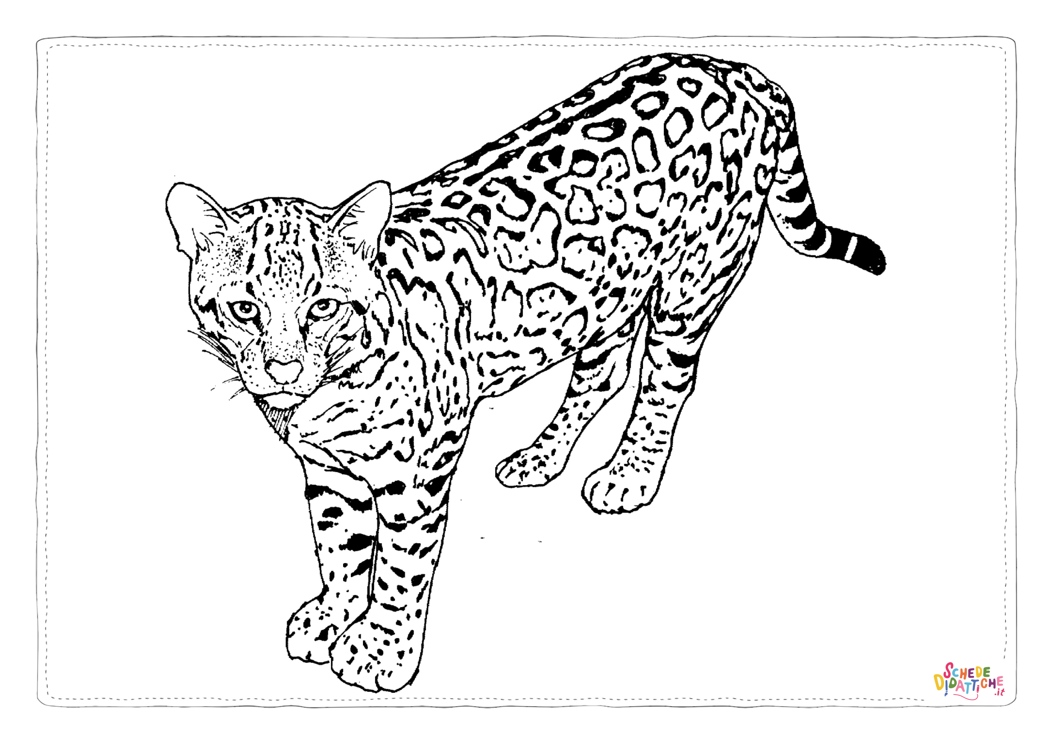 Disegno di leopardo da stampare e colorare 17