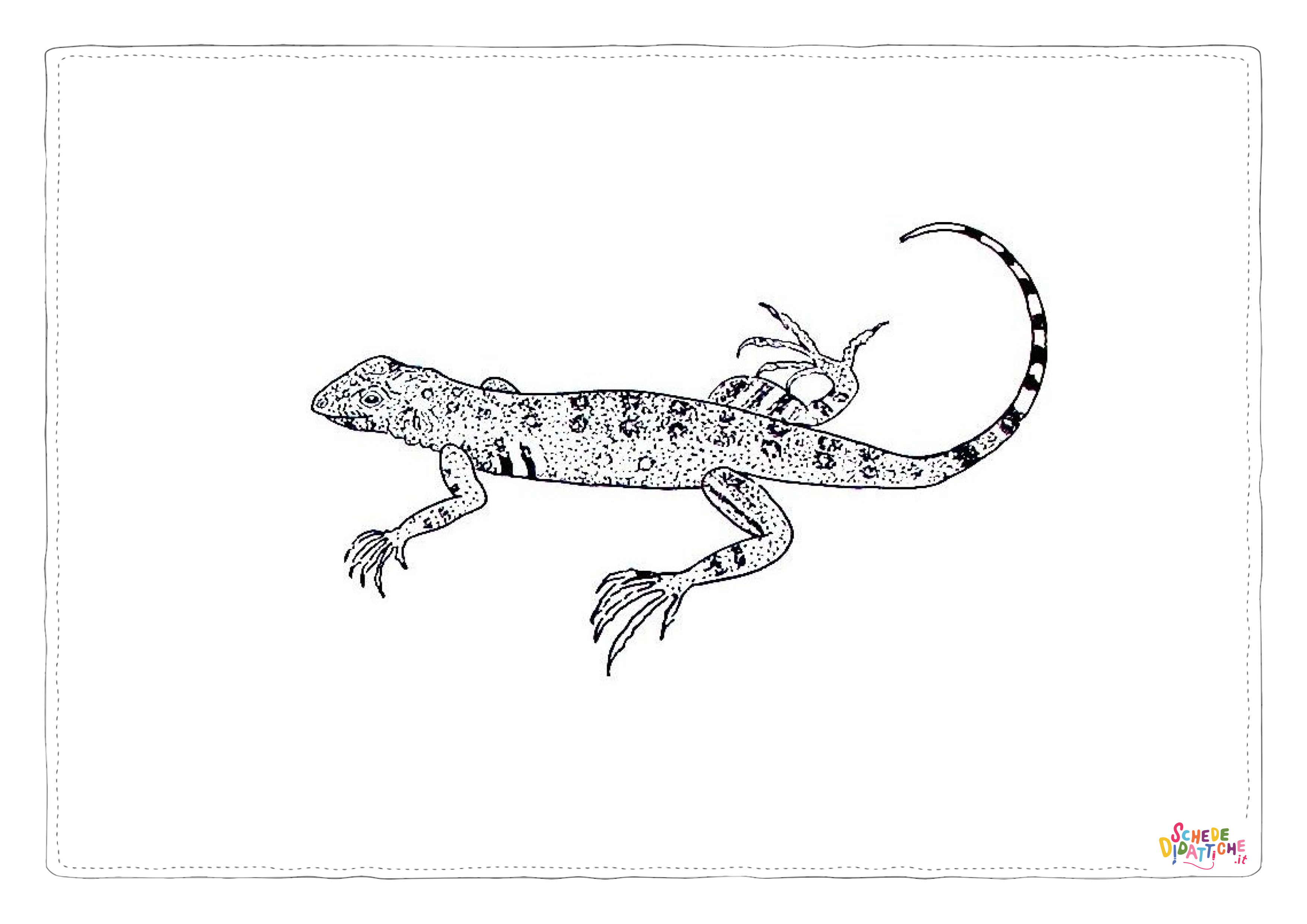 Disegno "Disegno di lucertola da stampare e colorare 15" Disegno di lucertola da stampare e colorare 15