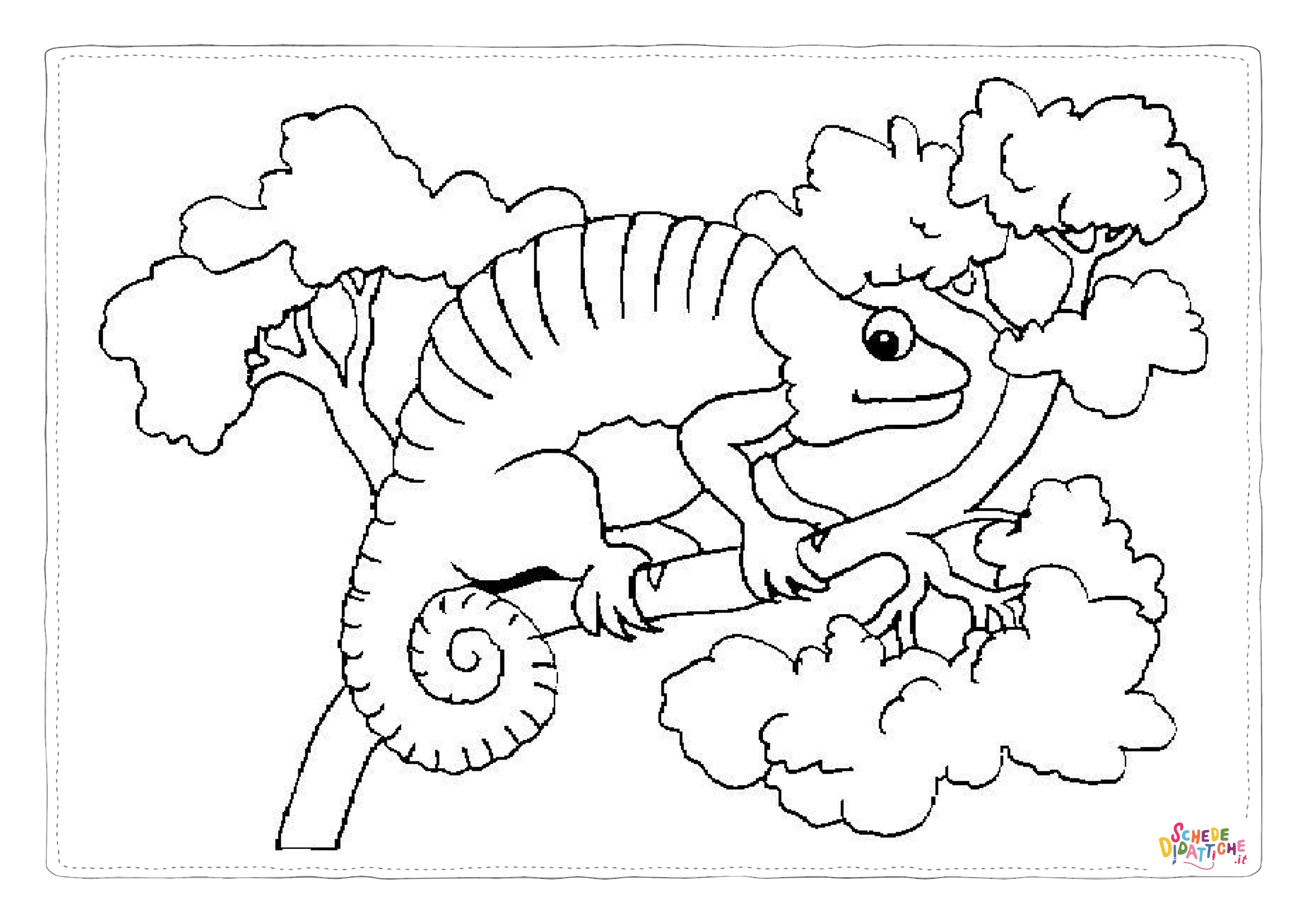 Disegno "Disegno di camaleonte da stampare e colorare 12" Disegno di camaleonte da stampare e colorare 12