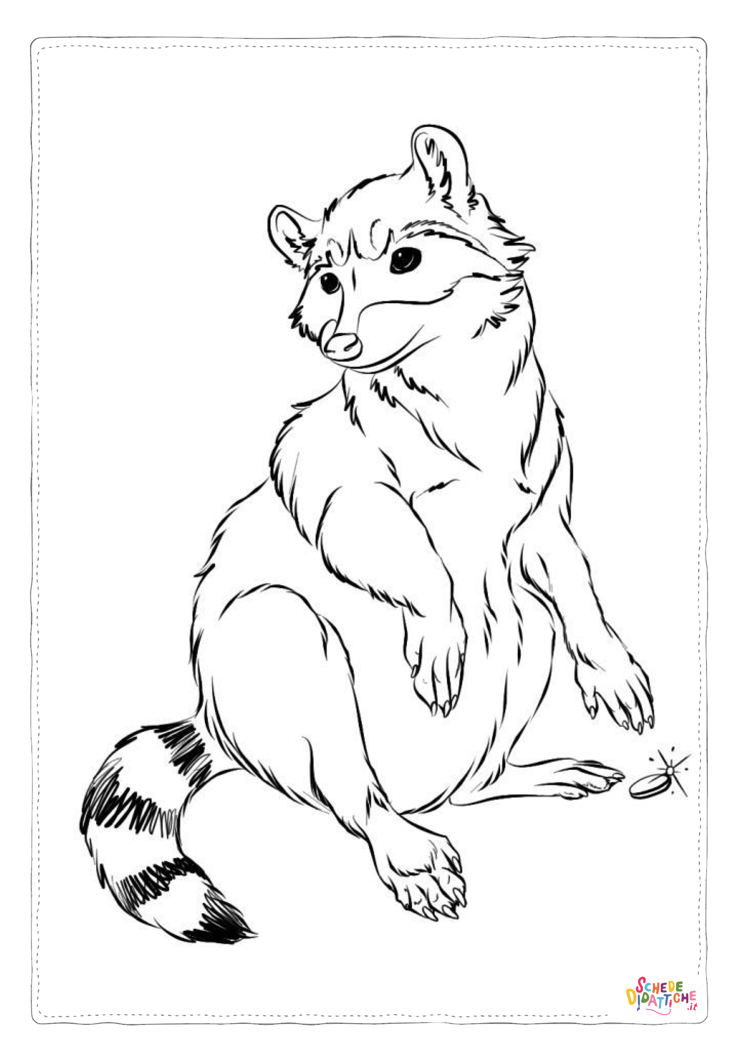 Disegno "Disegno di procione da stampare e colorare 19" Disegno di procione da stampare e colorare 19