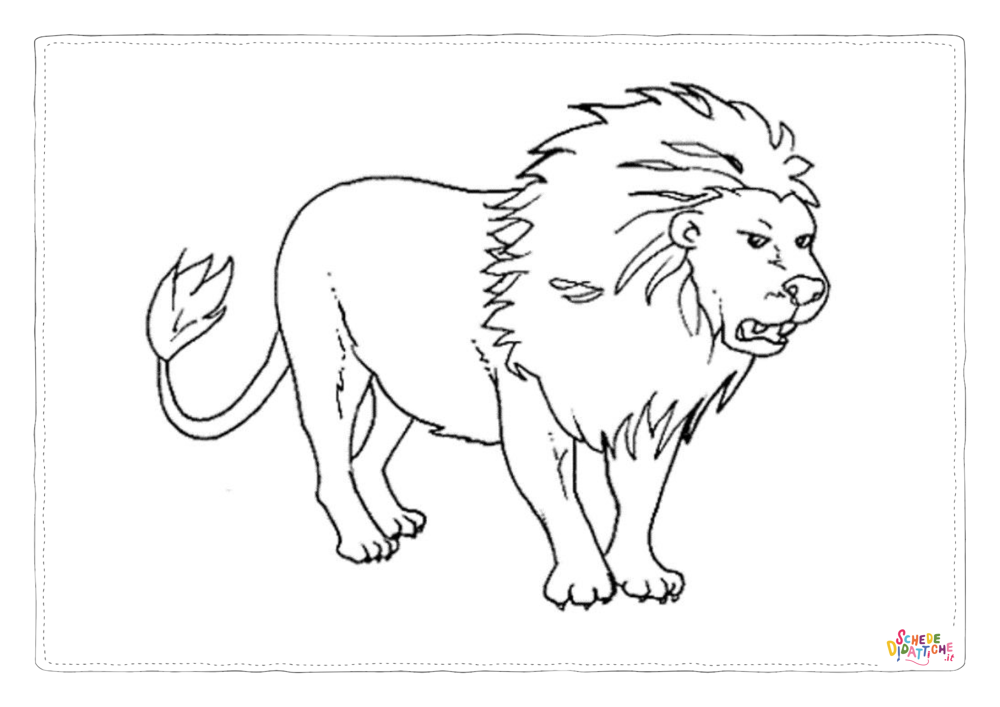 Disegno "Disegno di leone da stampare e colorare 13" Disegno di leone da stampare e colorare 13
