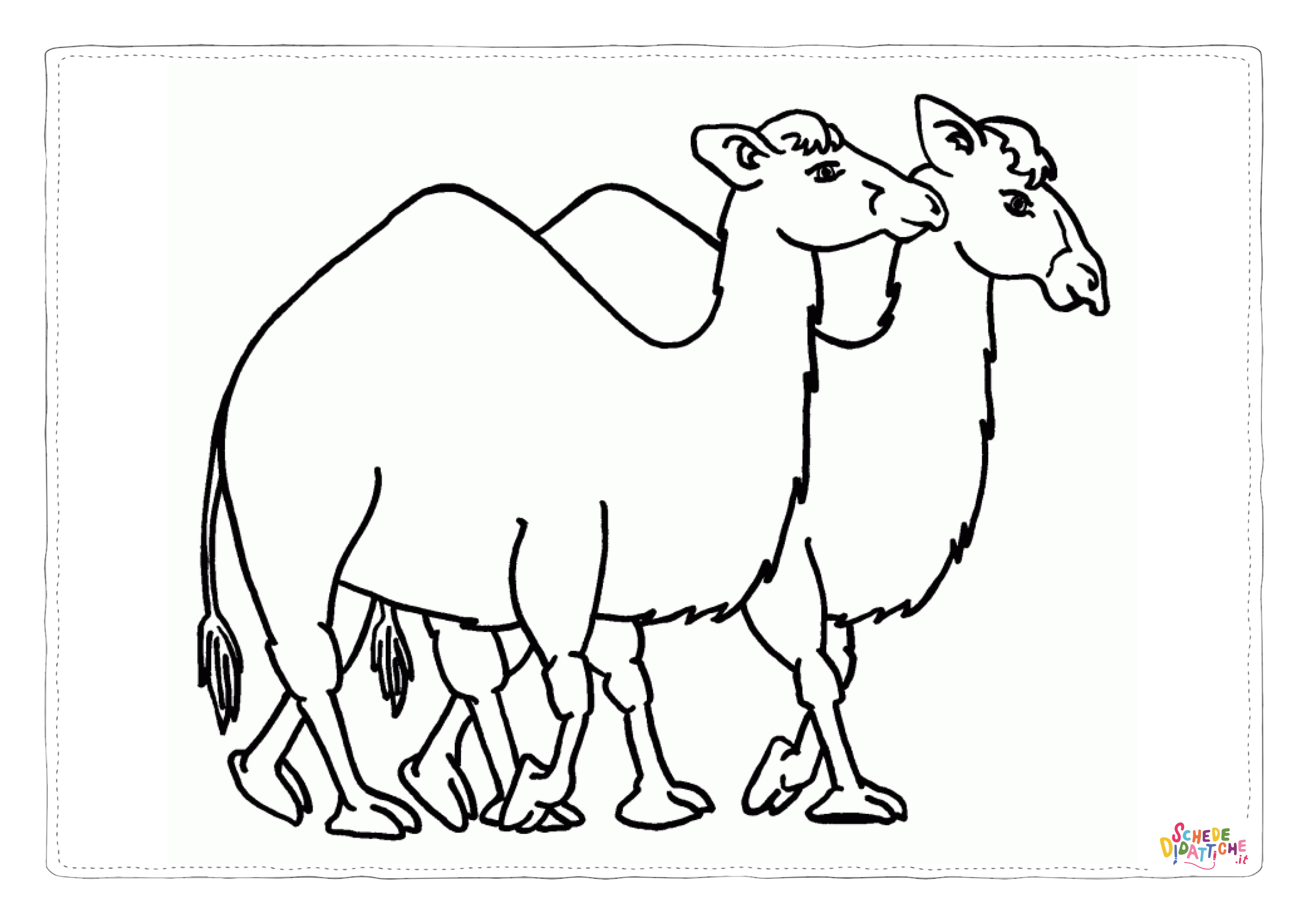 Disegno di dromedario da stampare e colorare 22