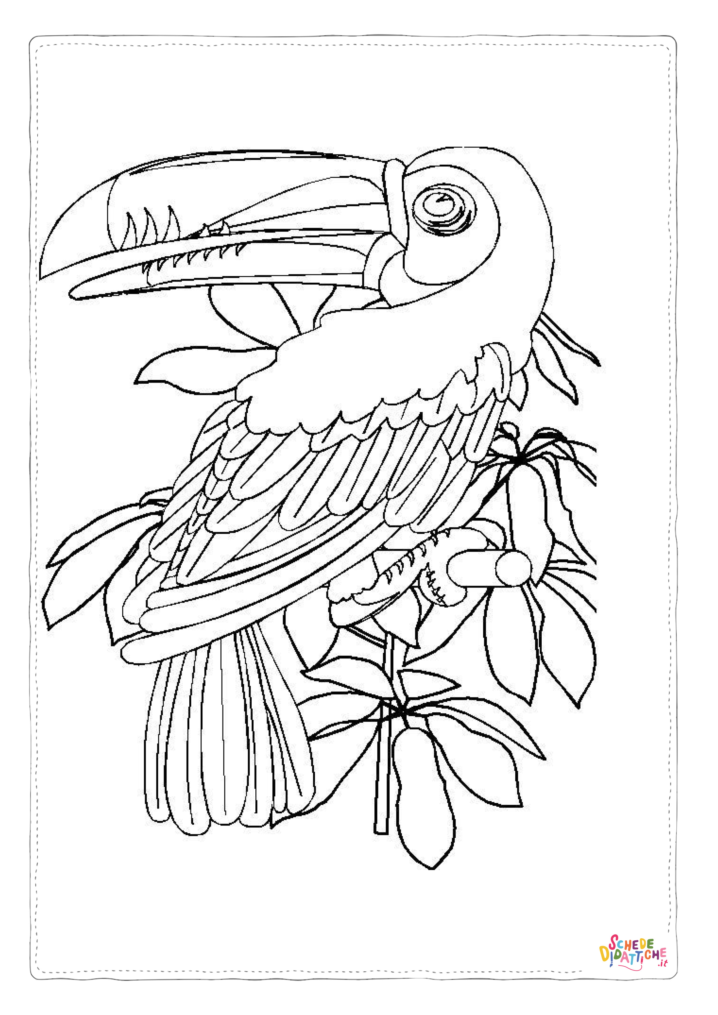 Disegno "Disegno di tucano da stampare e colorare 8" Disegno di tucano da stampare e colorare 8