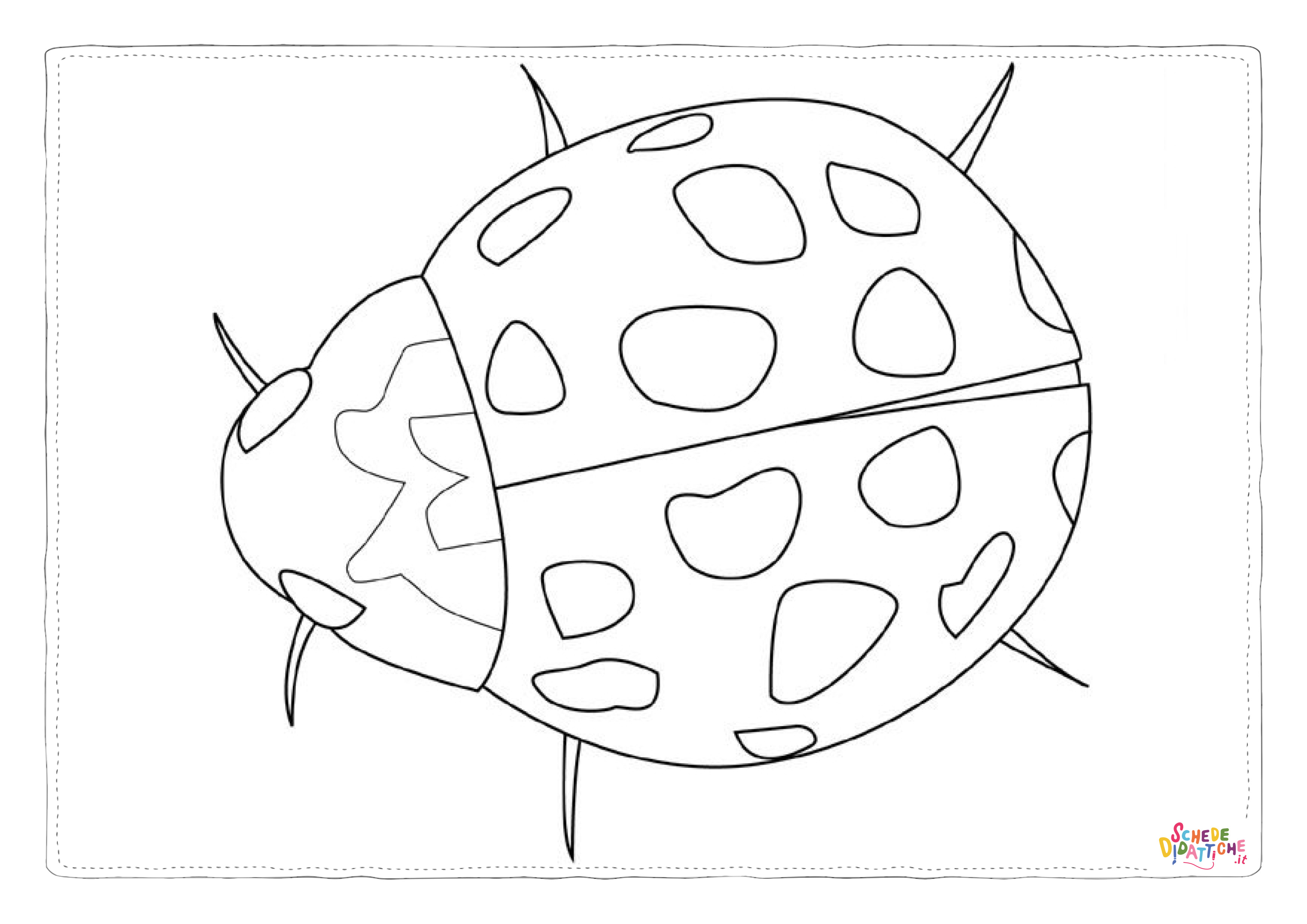 Disegno "Disegno di coccinella da stampare e colorare 26" Disegno di coccinella da stampare e colorare 26