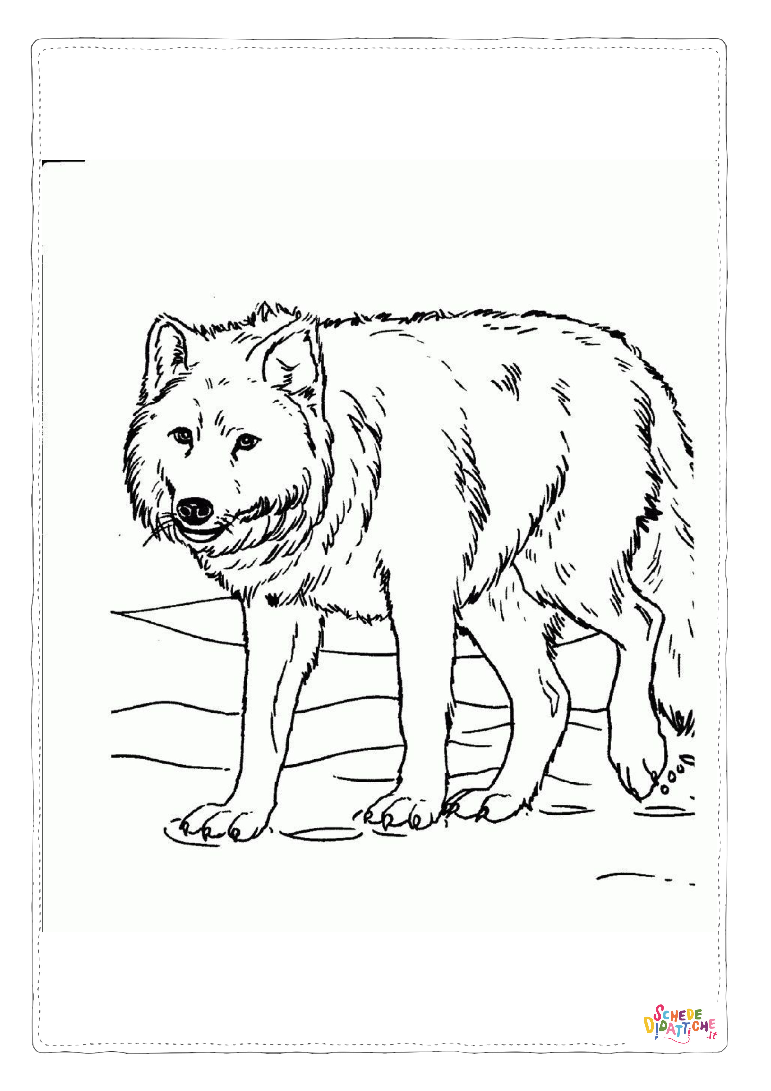 Disegno "Disegno di lupo da stampare e colorare 62" Disegno di lupo da stampare e colorare 62