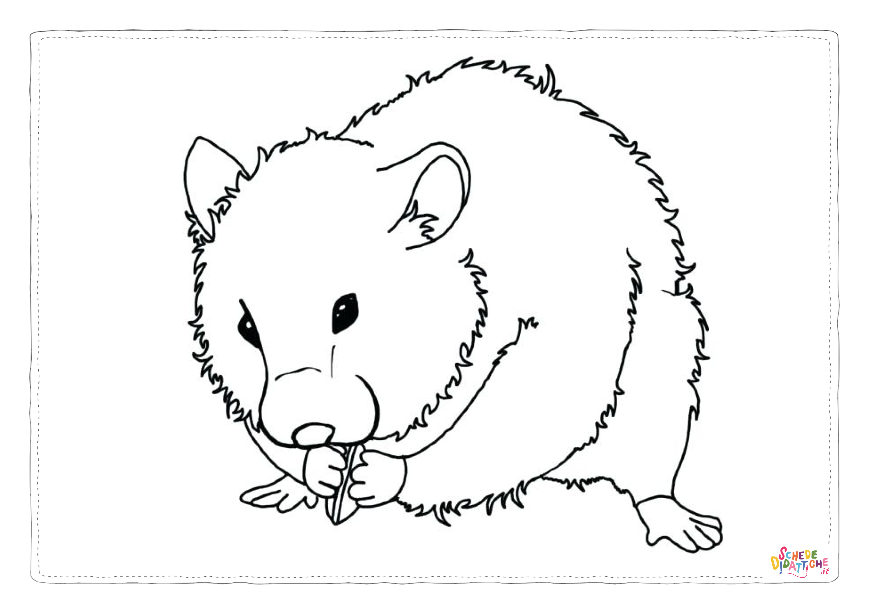 Disegno di criceto da stampare e colorare 9