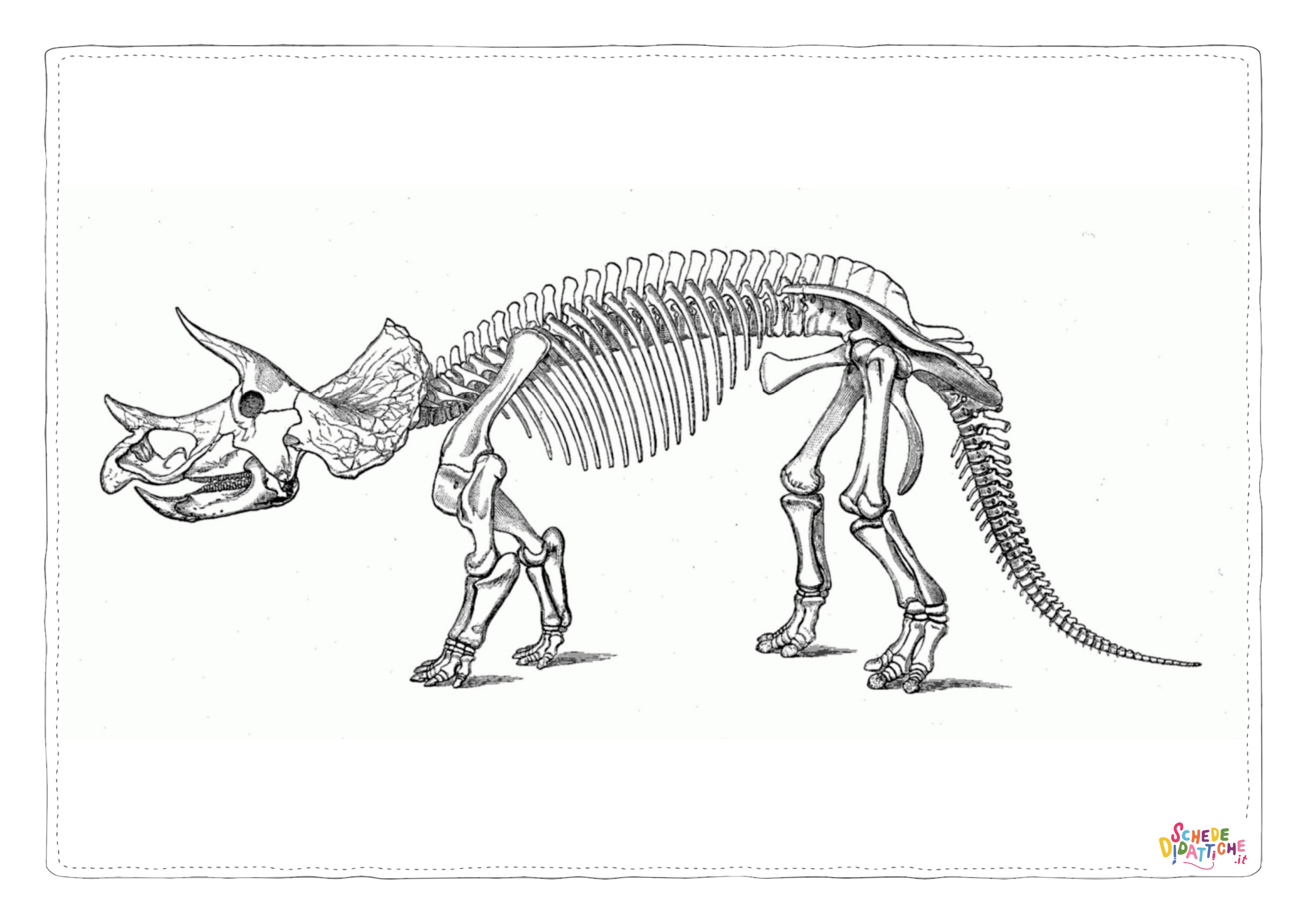Disegno "Disegno di Triceratopo da stampare e colorare 21" Disegno di Triceratopo da stampare e colorare 21
