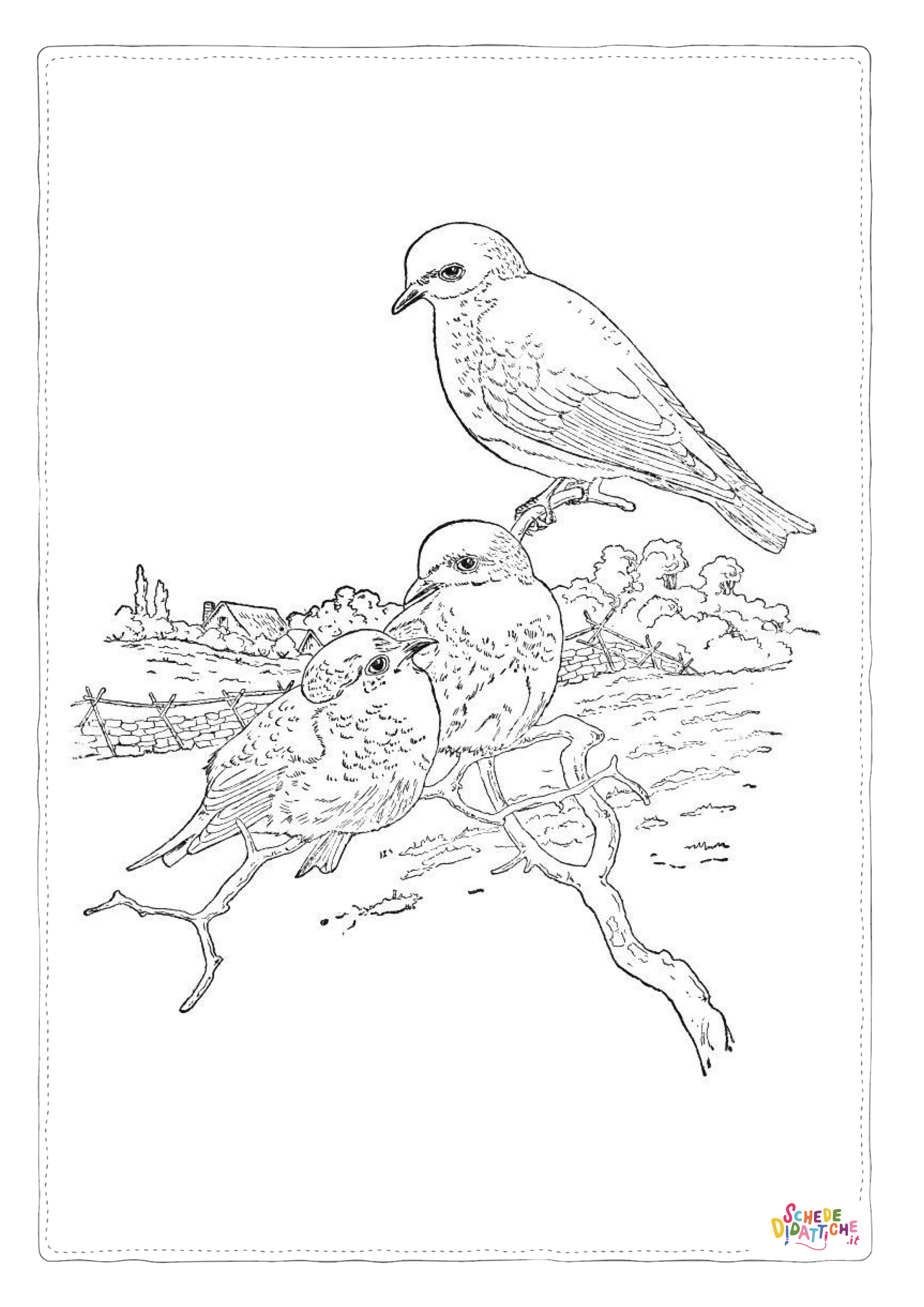 Disegno "Disegno di uccello da stampare e colorare 71" Disegno di uccello da stampare e colorare 71
