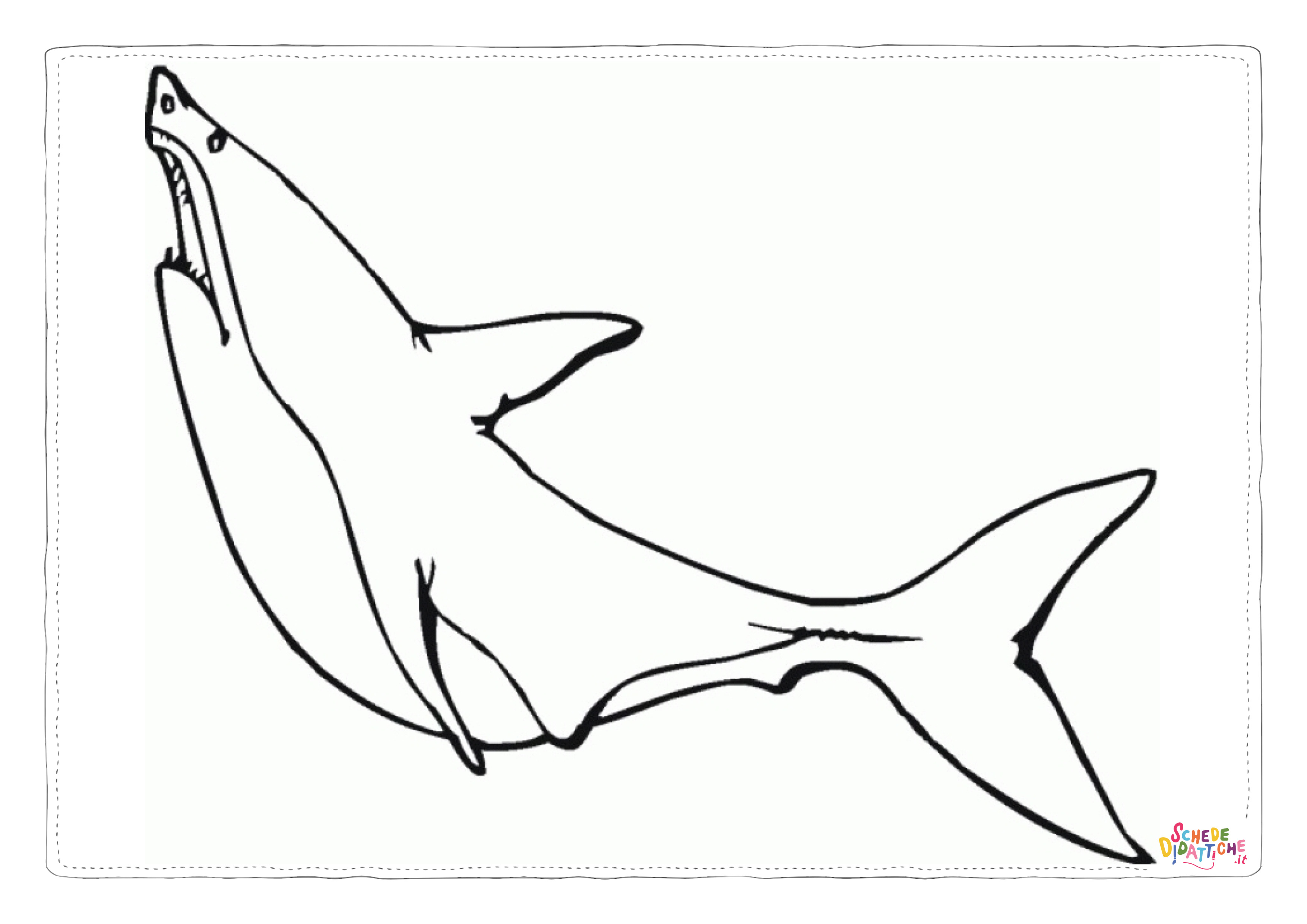 Disegno "Disegno di squalo da stampare e colorare 38" Disegno di squalo da stampare e colorare 38