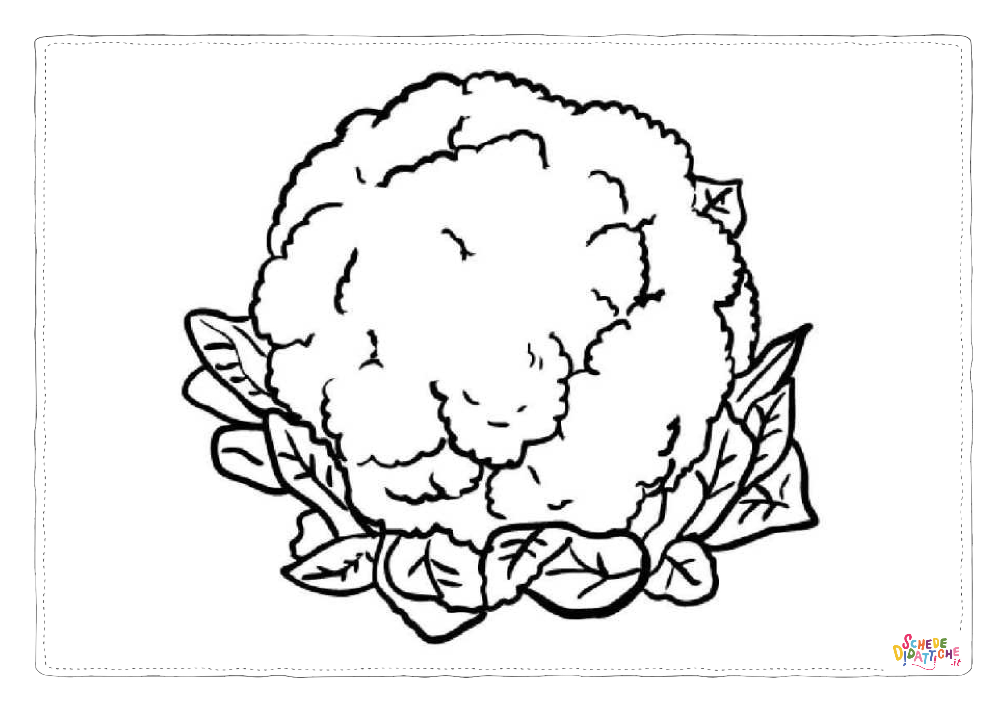 Disegno di cavolfiore da stampare e colorare