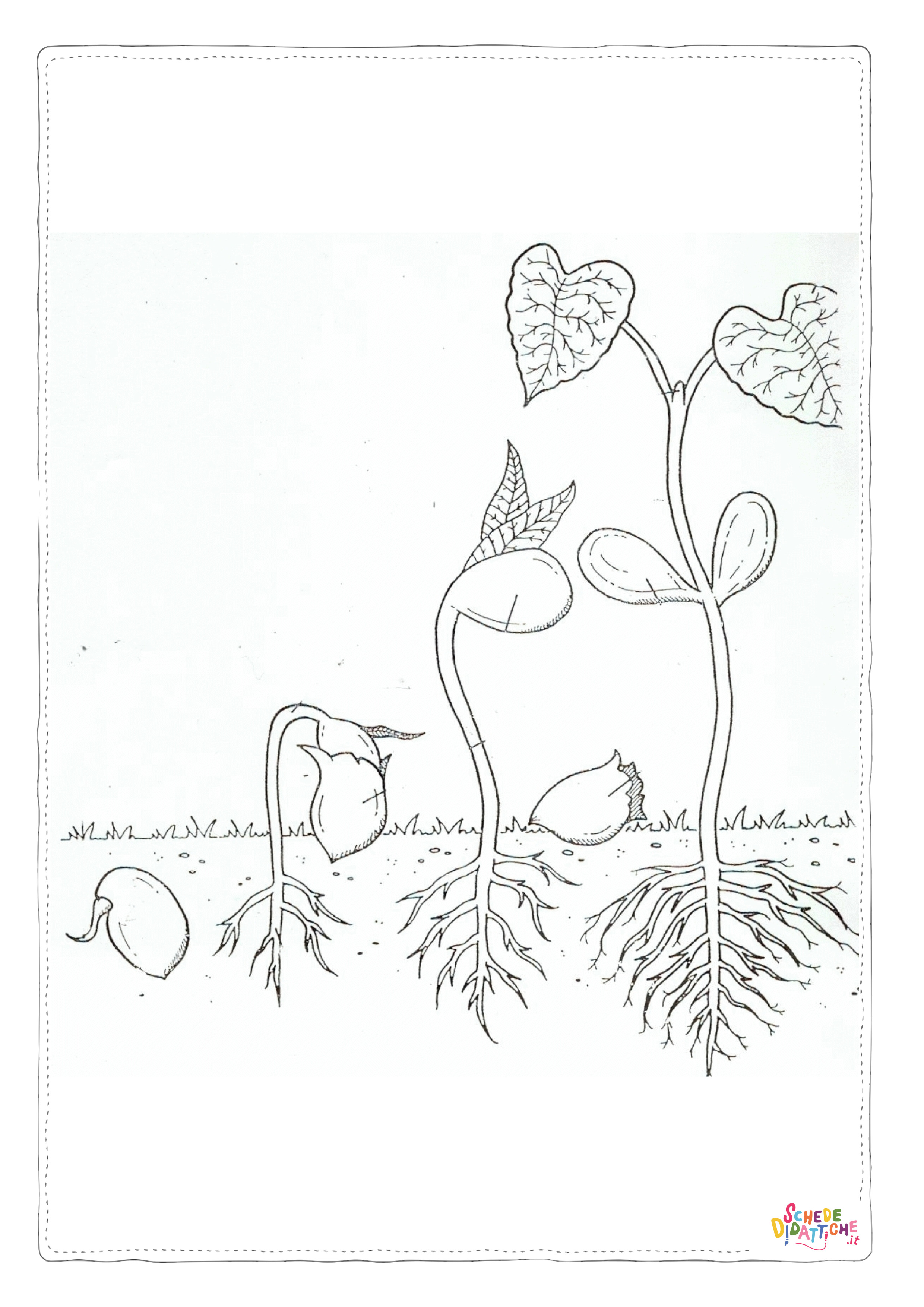 Disegno "Disegno di pianta da stampare e colorare 18" Disegno di pianta da stampare e colorare 18