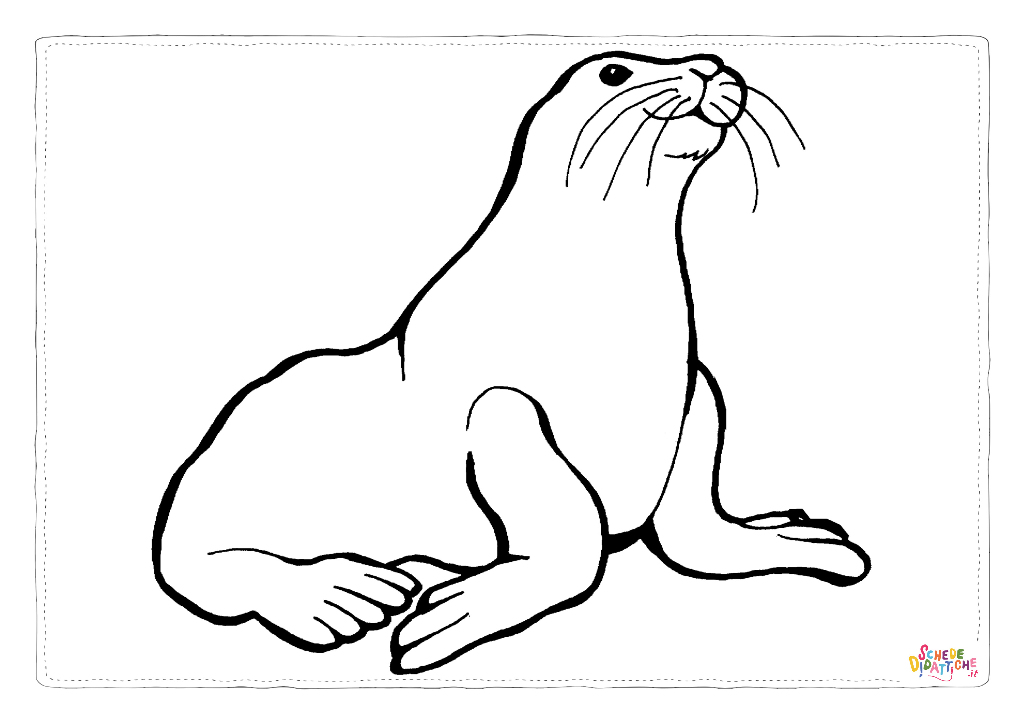 Disegno "Disegno di foca da stampare e colorare 13" Disegno di foca da stampare e colorare 13